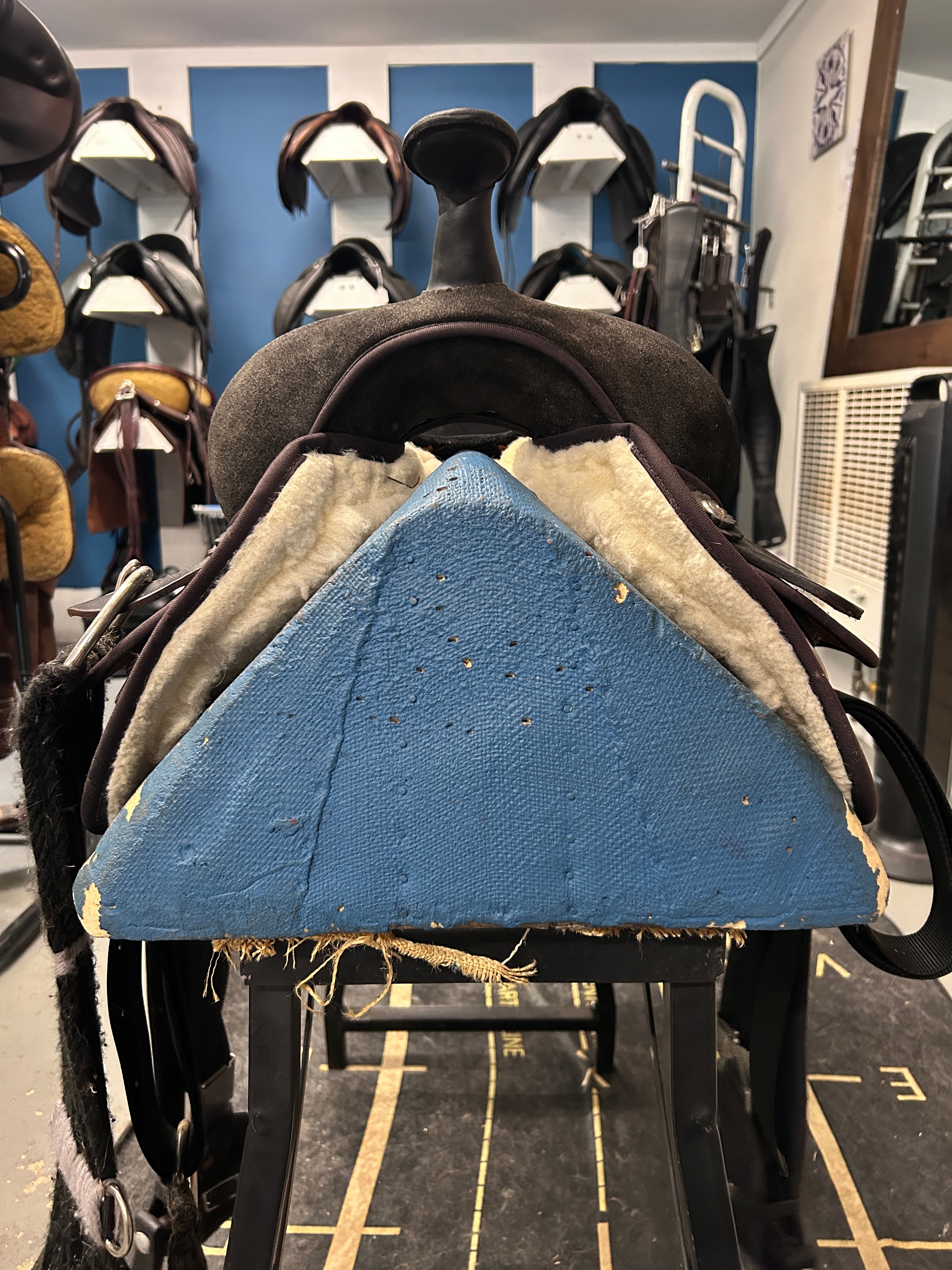 17" Circle Y Condura Trail Saddle-Saddle-Consignment-Evolution Equestrian Co.