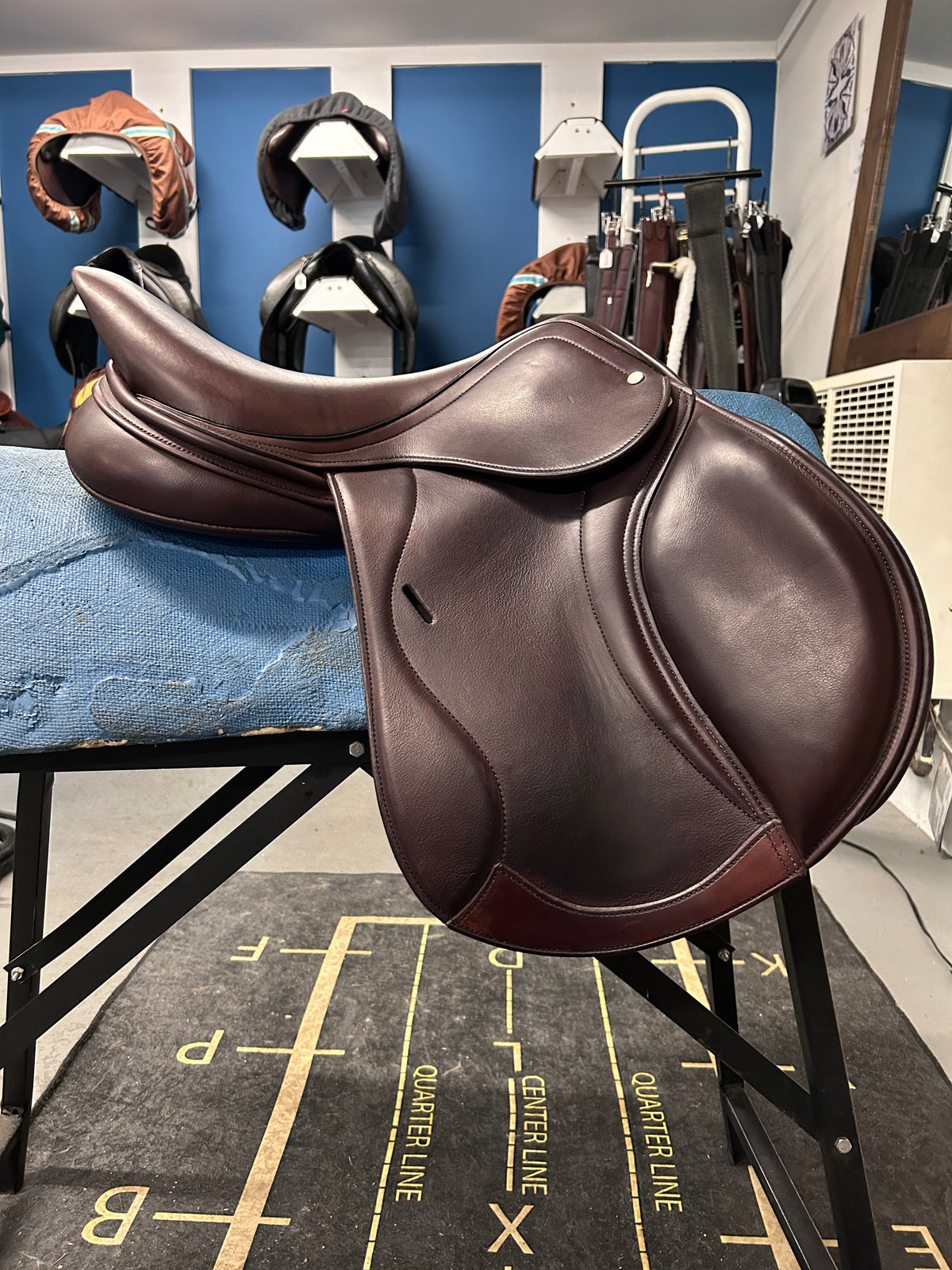 17" Regal Close Contact Saddle-Saddle-Consignment-Evolution Equestrian Co.