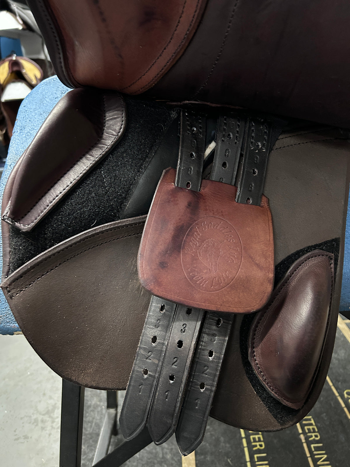 17" Regal Close Contact Saddle-Saddle-Consignment-Evolution Equestrian Co.