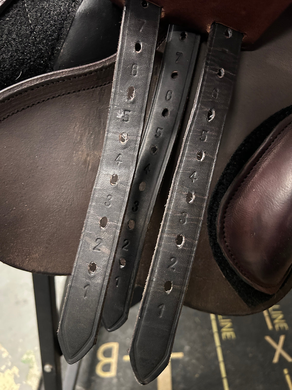 17" Regal Close Contact Saddle-Saddle-Consignment-Evolution Equestrian Co.
