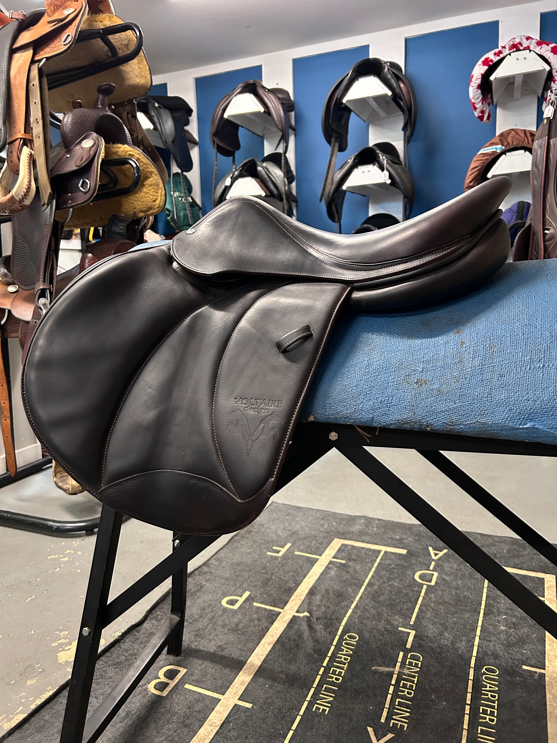 17" Voltaire Palm Beach 3AA-Saddle-Consignment-Evolution Equestrian Co.