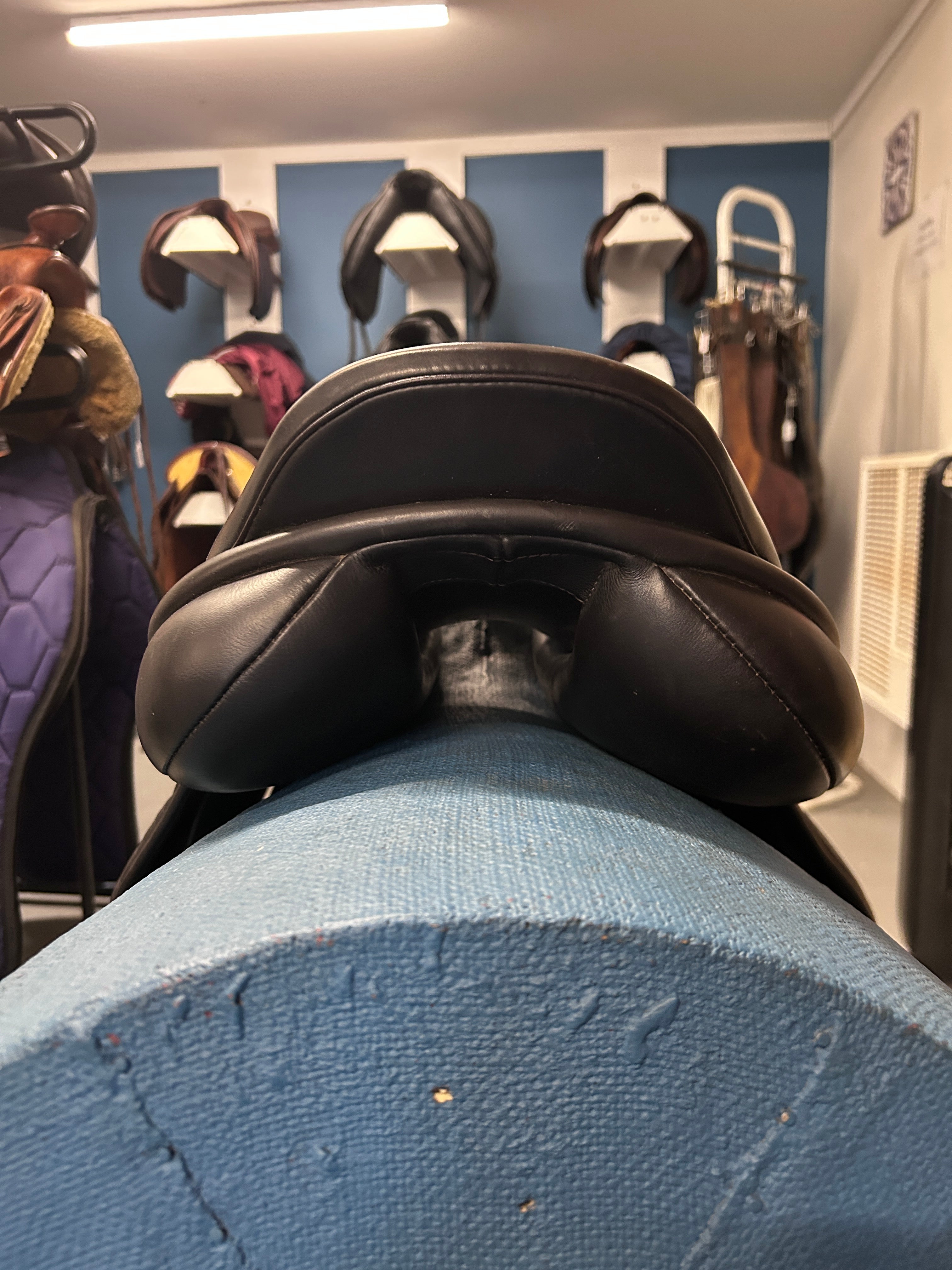 17.5" NSC Cordelia Jump Saddle-Saddle-Consignment-Evolution Equestrian Co.