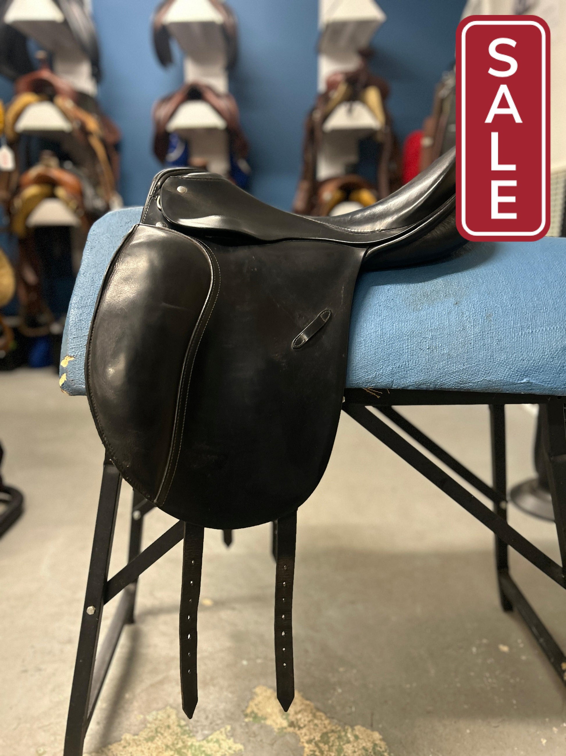17.5" Passier Relevant Dressage Saddle-Saddle-Consignment-Evolution Equestrian Co.