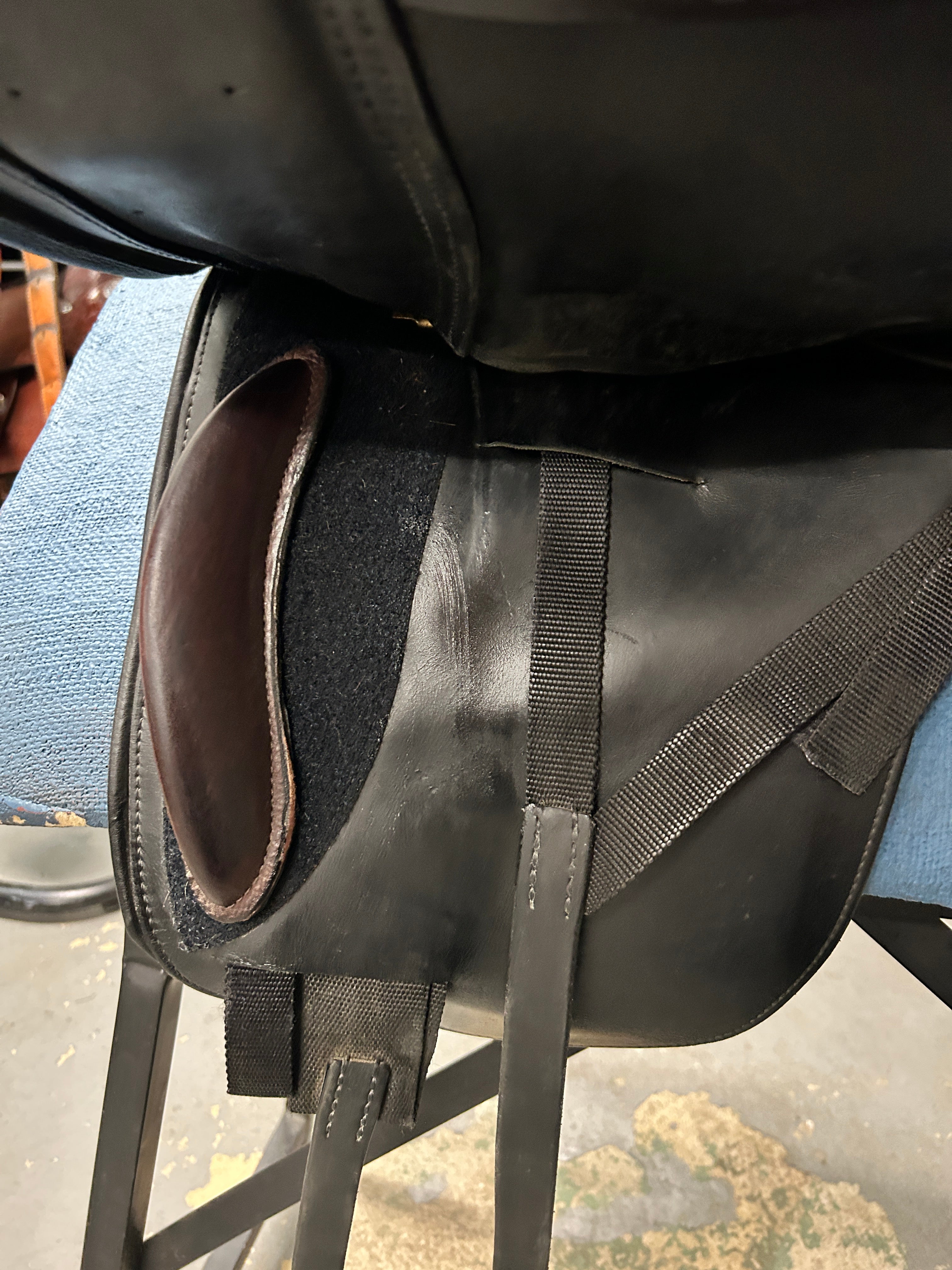 17.5" Schleese Wave Dressage Saddle-Saddle-Consignment-Evolution Equestrian Co.