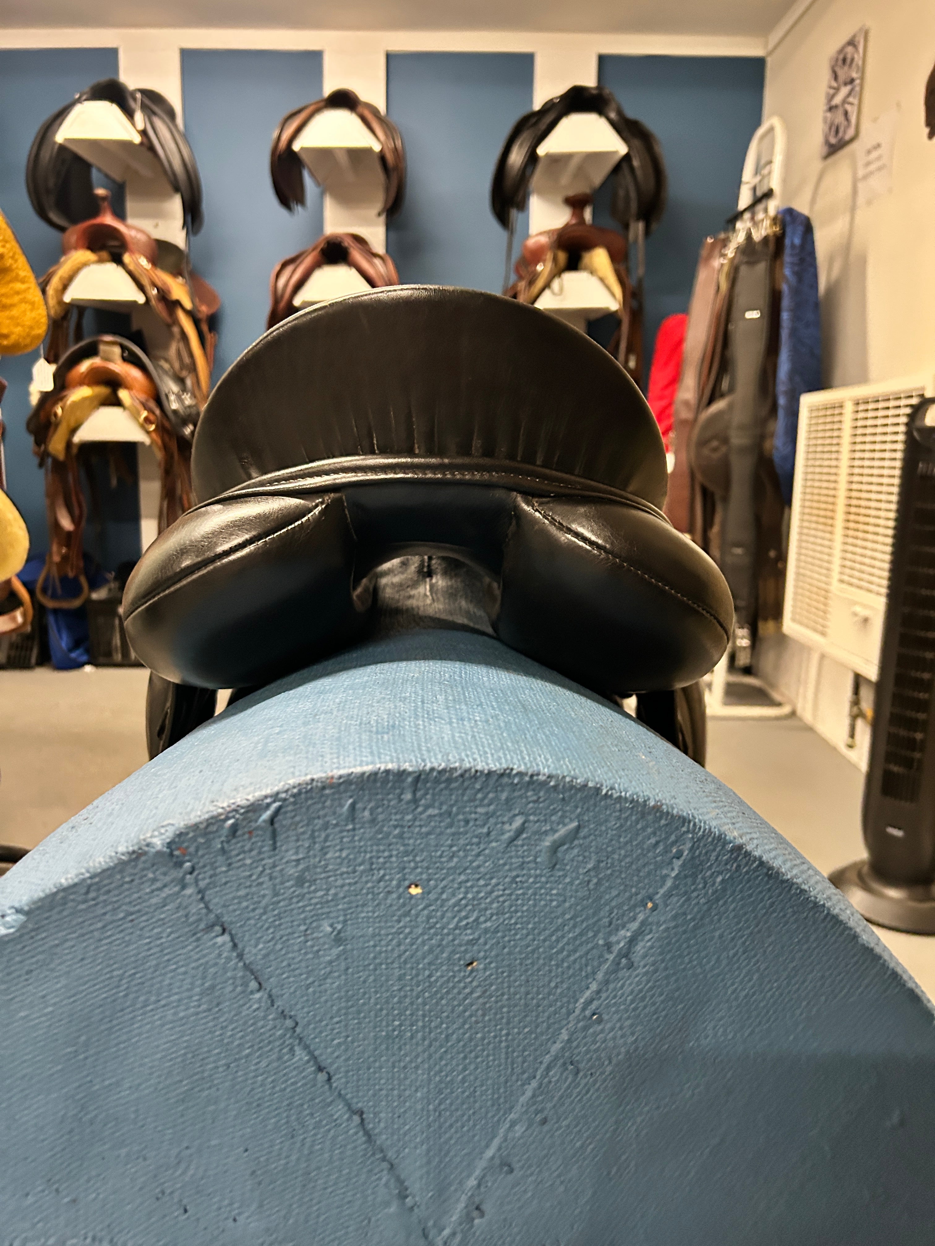 17.5" Schleese Wave Dressage Saddle-Saddle-Consignment-Evolution Equestrian Co.