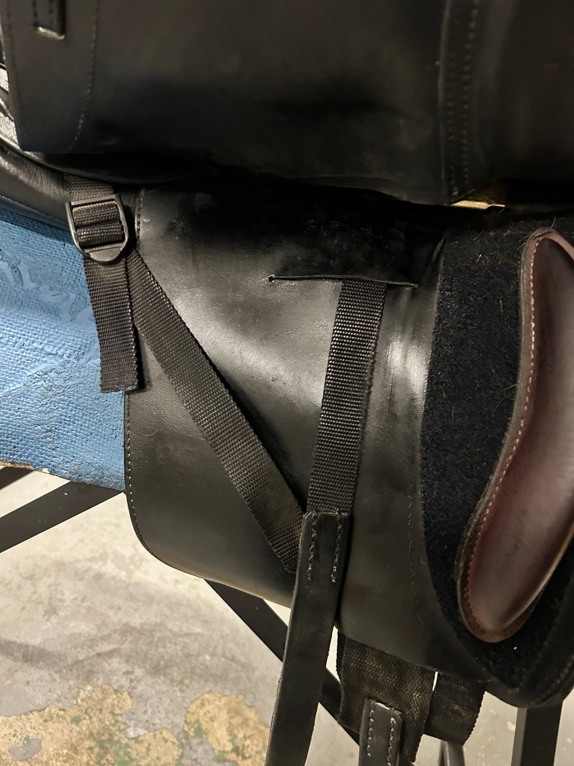 17.5" Schleese Wave Dressage Saddle-Saddle-Consignment-Evolution Equestrian Co.