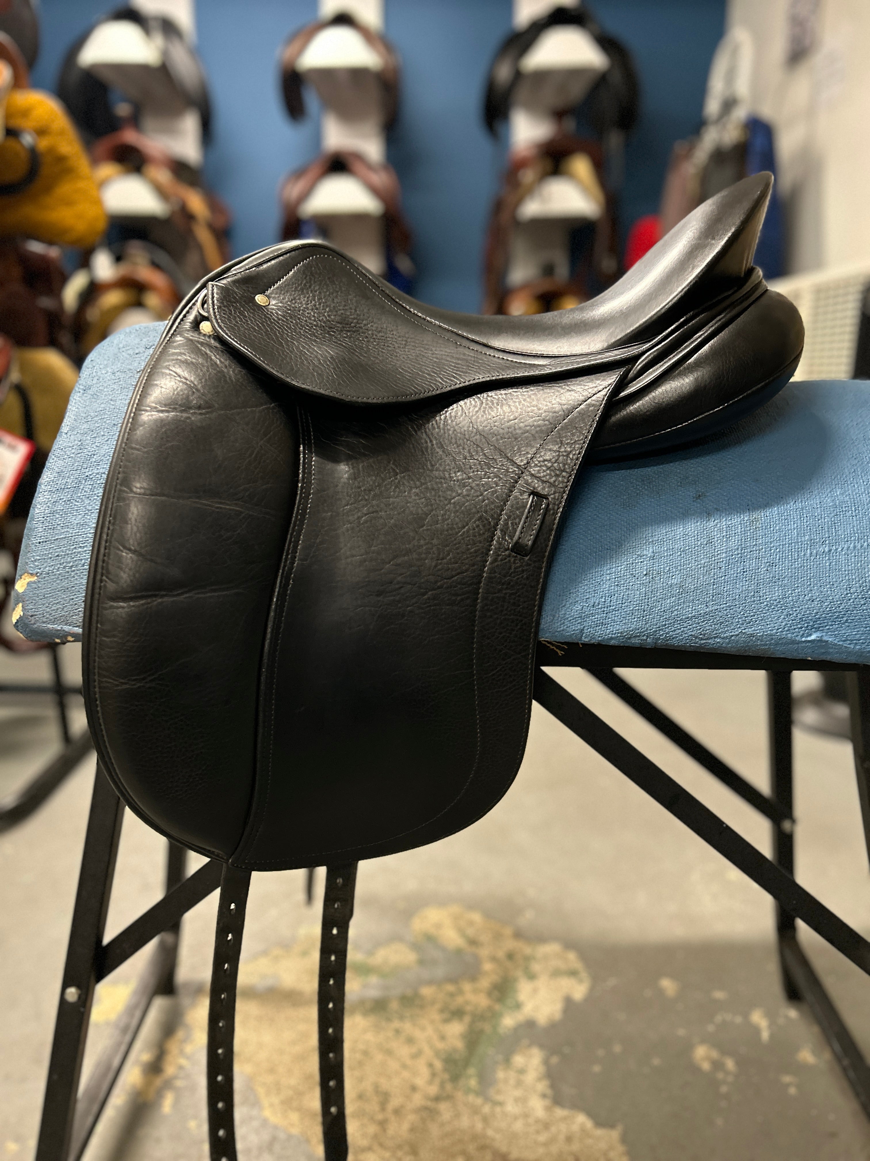 17.5" Schleese Wave Dressage Saddle-Saddle-Consignment-Evolution Equestrian Co.