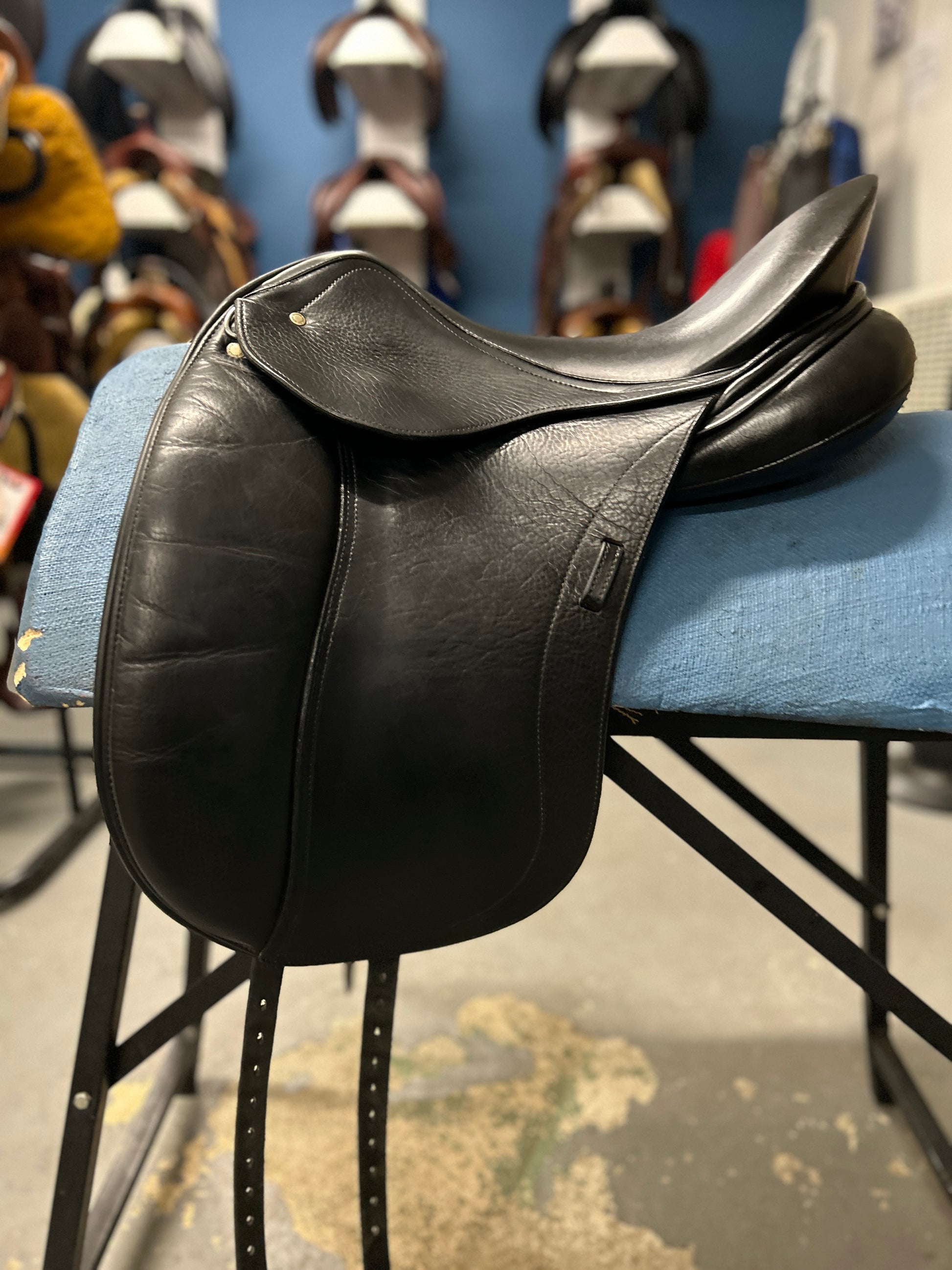 17.5" Schleese Wave Dressage Saddle-Saddle-Consignment-Evolution Equestrian Co.