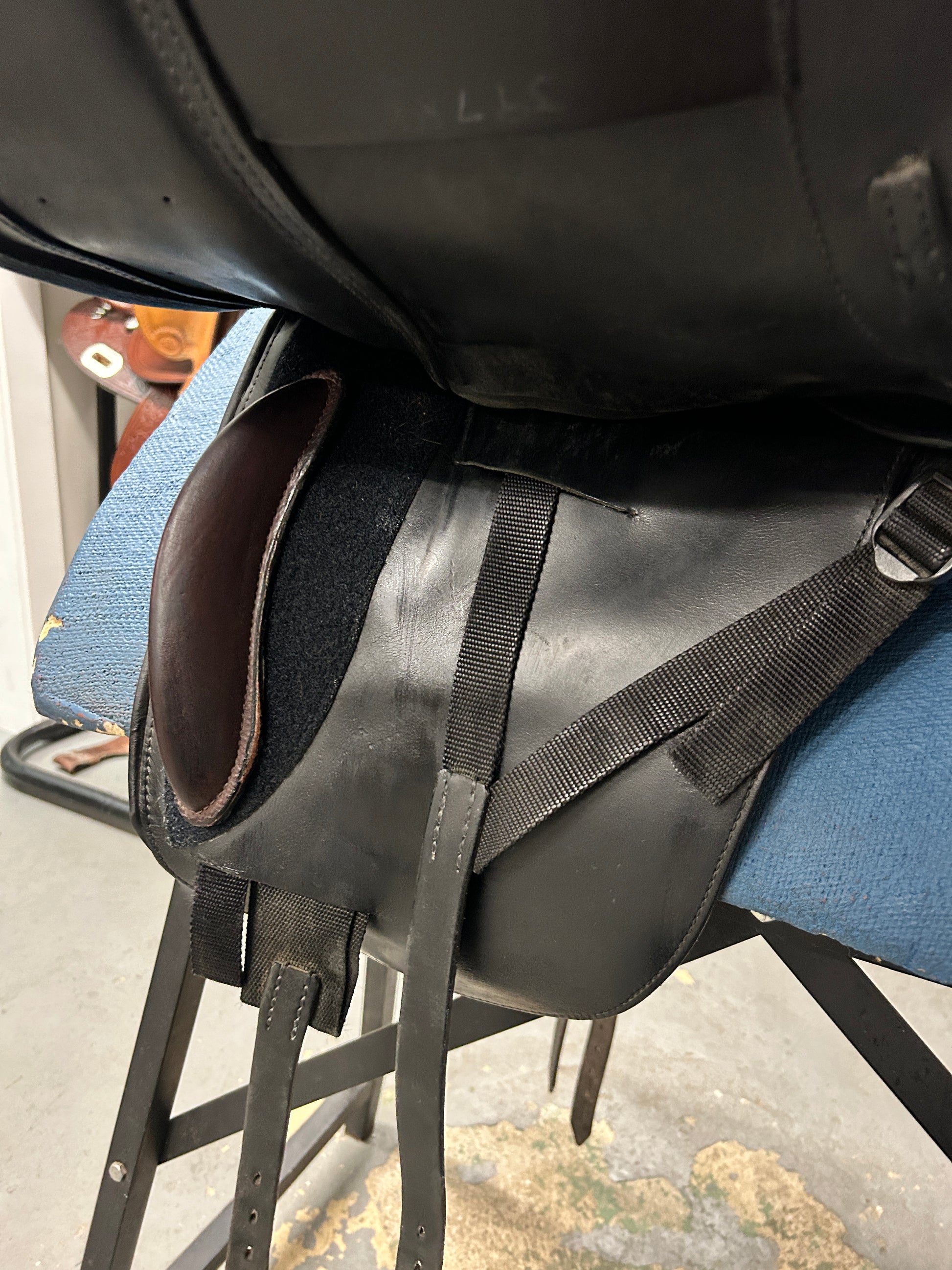 17.5" Schleese Wave Dressage Saddle-Saddle-Consignment-Evolution Equestrian Co.