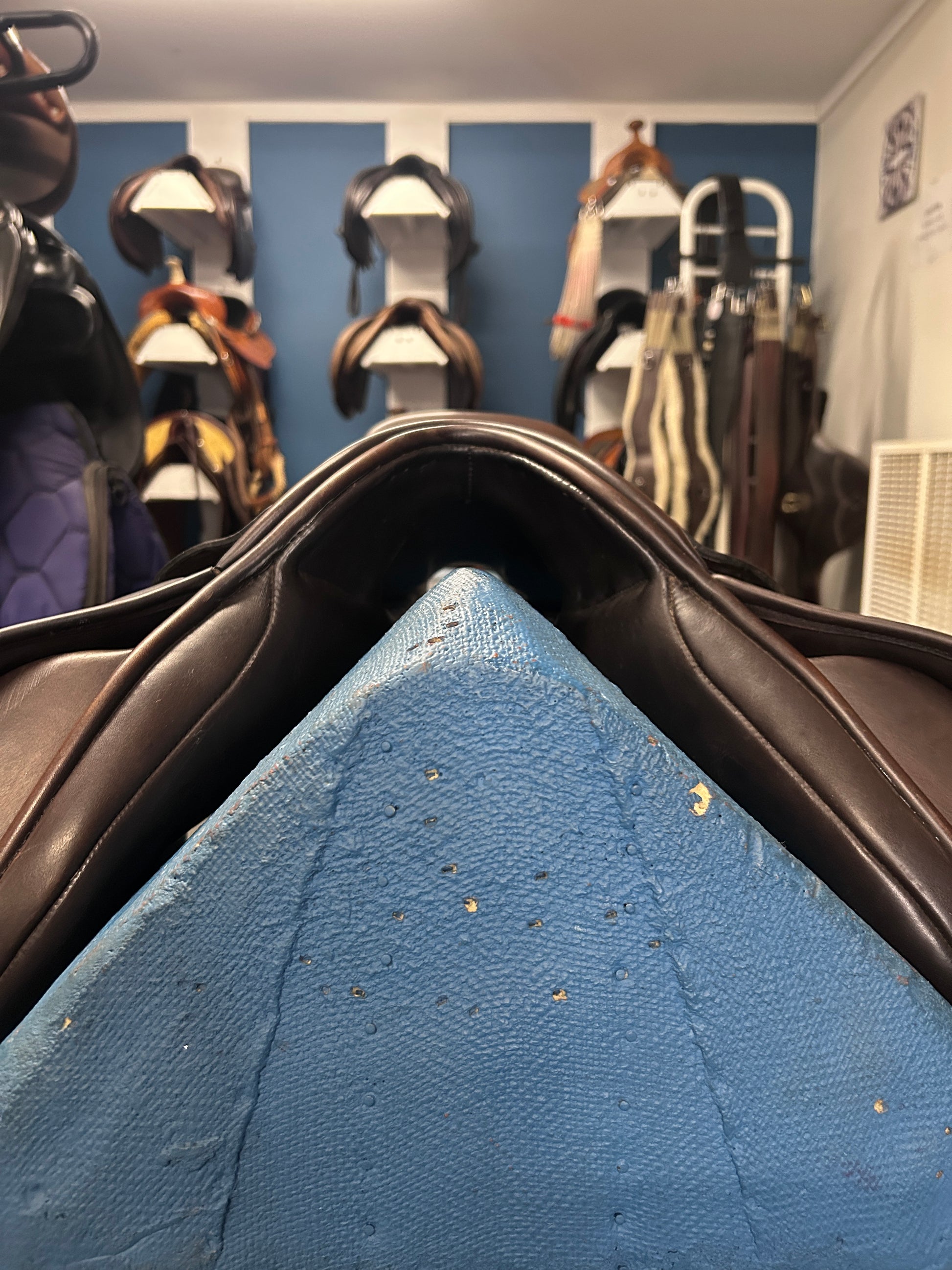 18" Albion Legend K2 Close Contact Saddle-Saddle-Consignment-Evolution Equestrian Co.