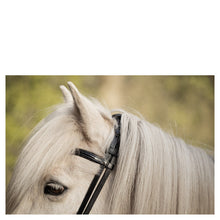 Load image into Gallery viewer, BR Bourne Icelandic Bridle
