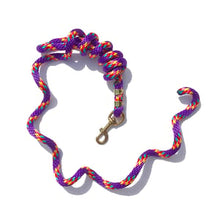 Load image into Gallery viewer, Rainbow Poly Lead Rope with Brass Snap
