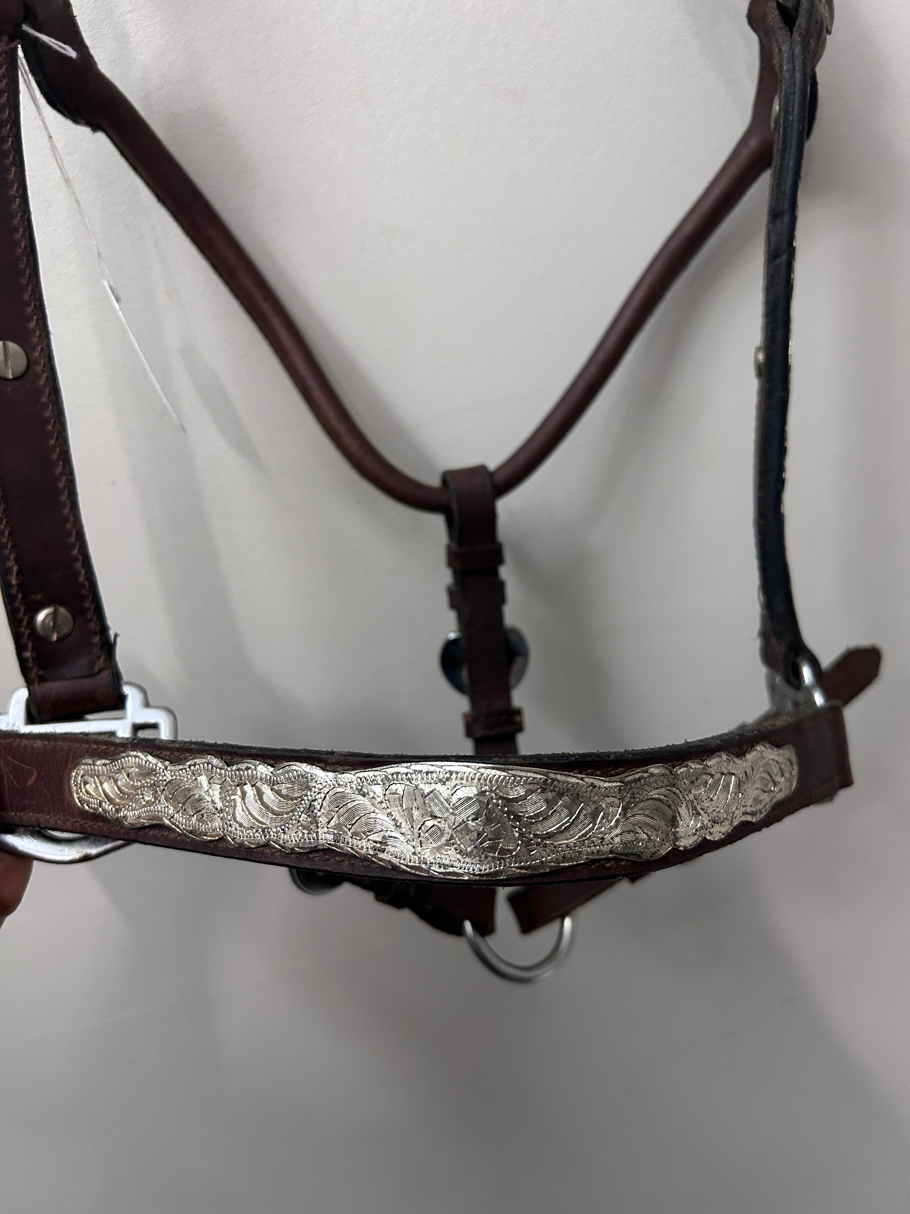 Show Halter
