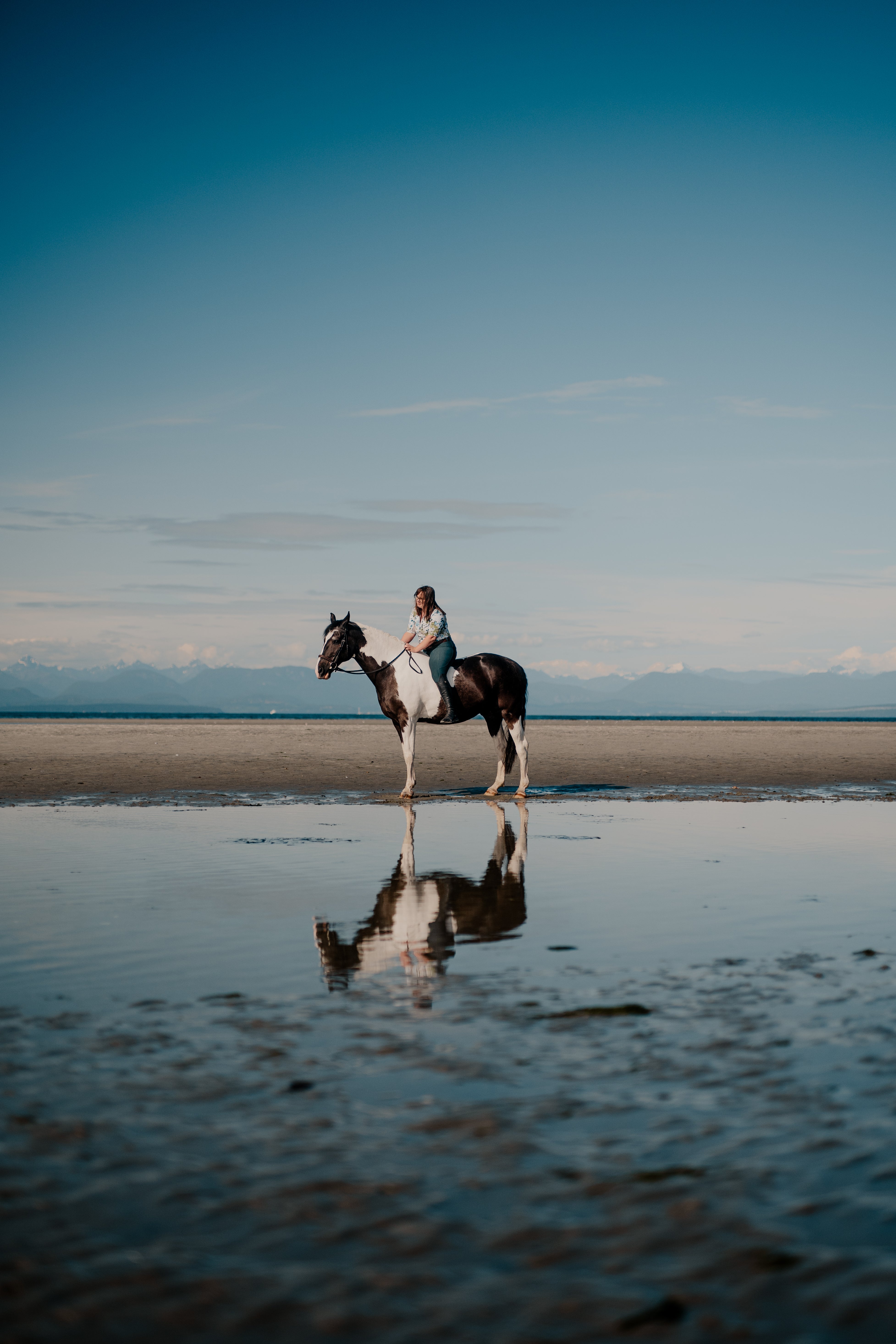 Evolution Equestrian Co.