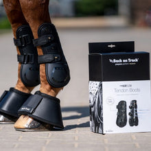 Load image into Gallery viewer, Back on Track Airflow Tendon Boots - Large
