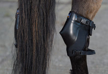 Load image into Gallery viewer, Shires Westropp Hock Boots
