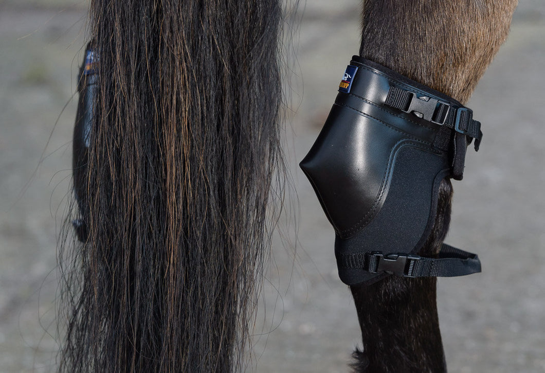 Shires Westropp Hock Boots