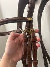 Load image into Gallery viewer, Kentaur English Bridle with Flash and Reins
