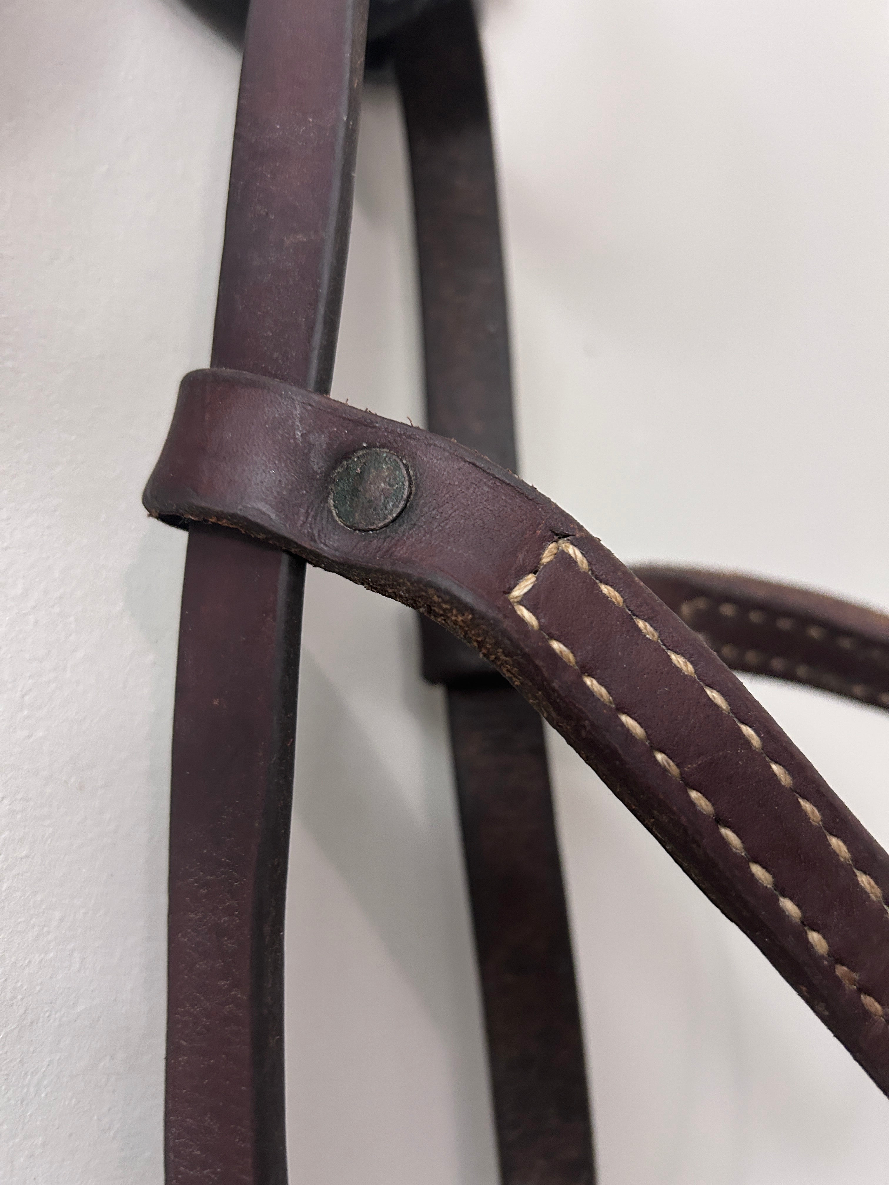 Training Quick-Change Headstall