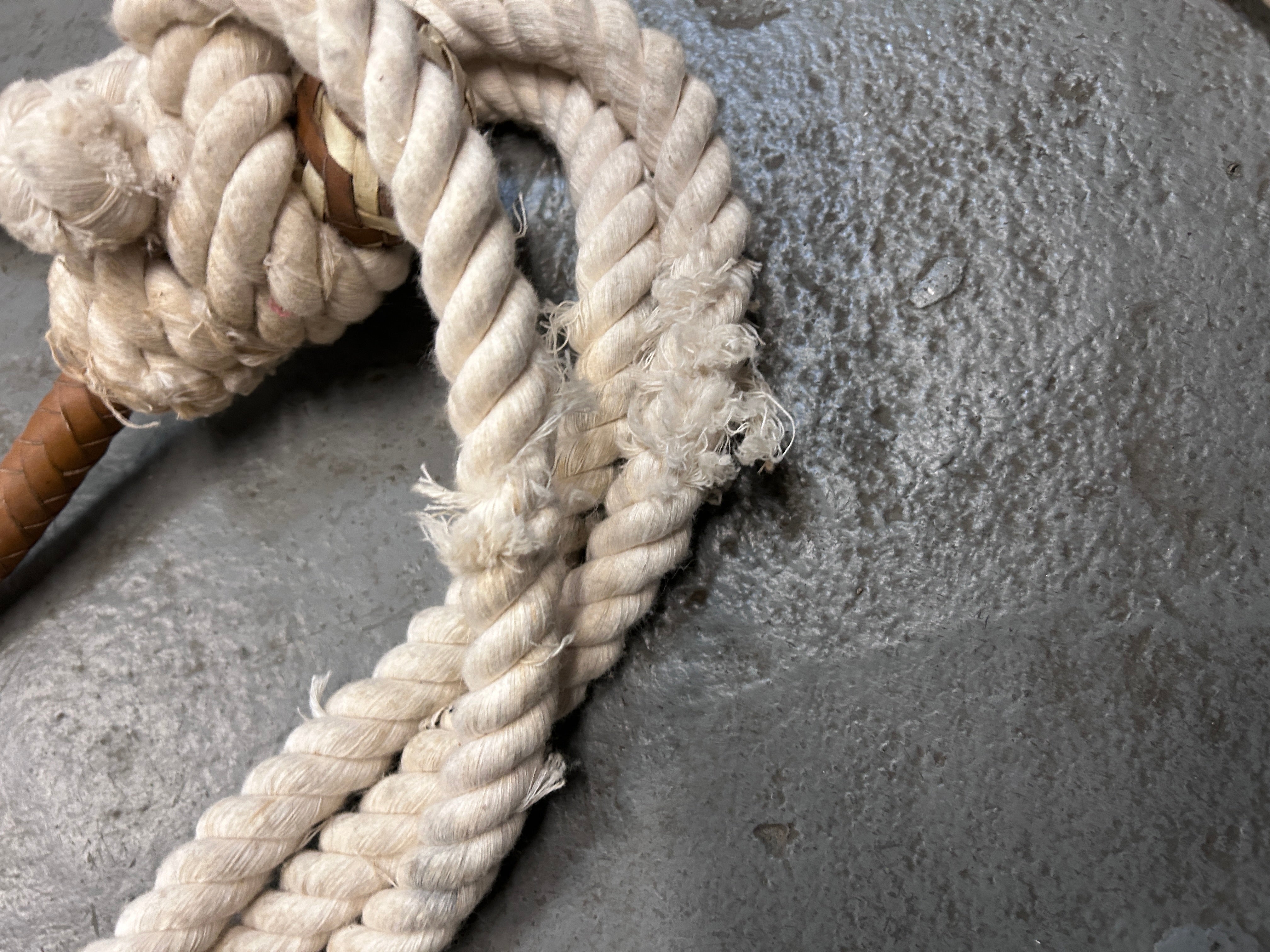 Training Bosal with White Rope Reins