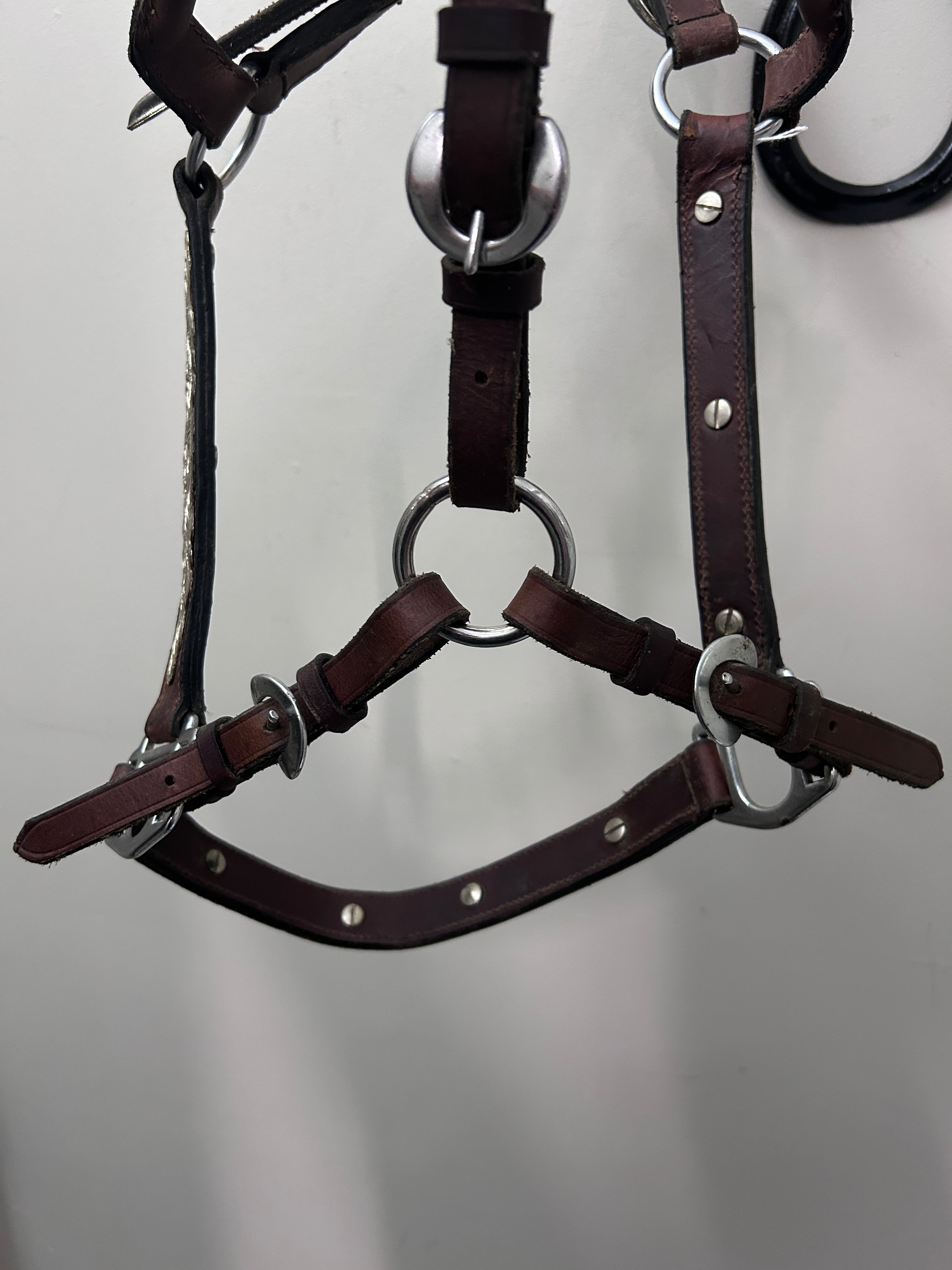 Show Halter
