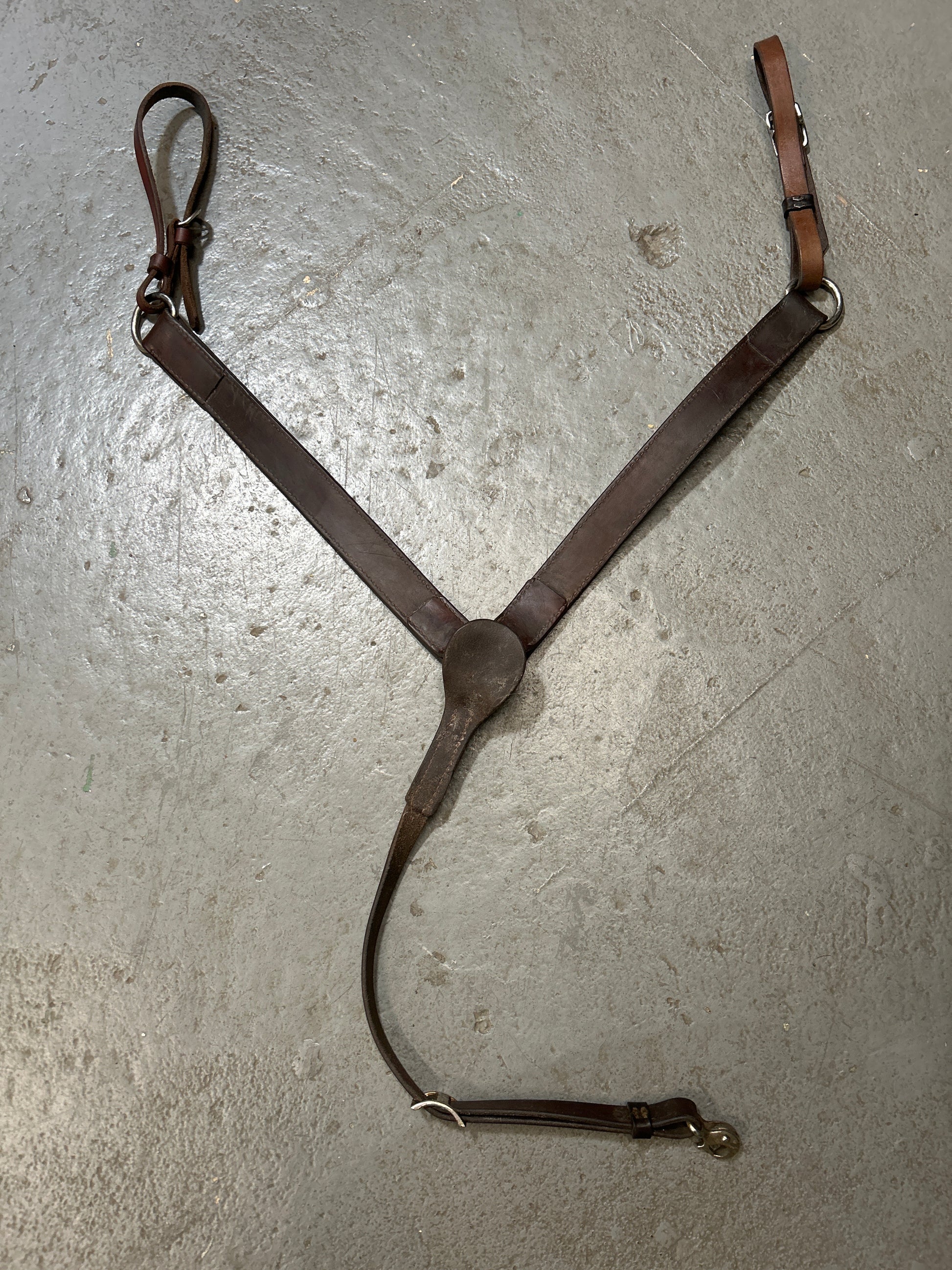 Circle Y Floral Straight Breast Collar Walnut-Western Tack-Consignment-Evolution Equestrian Co.