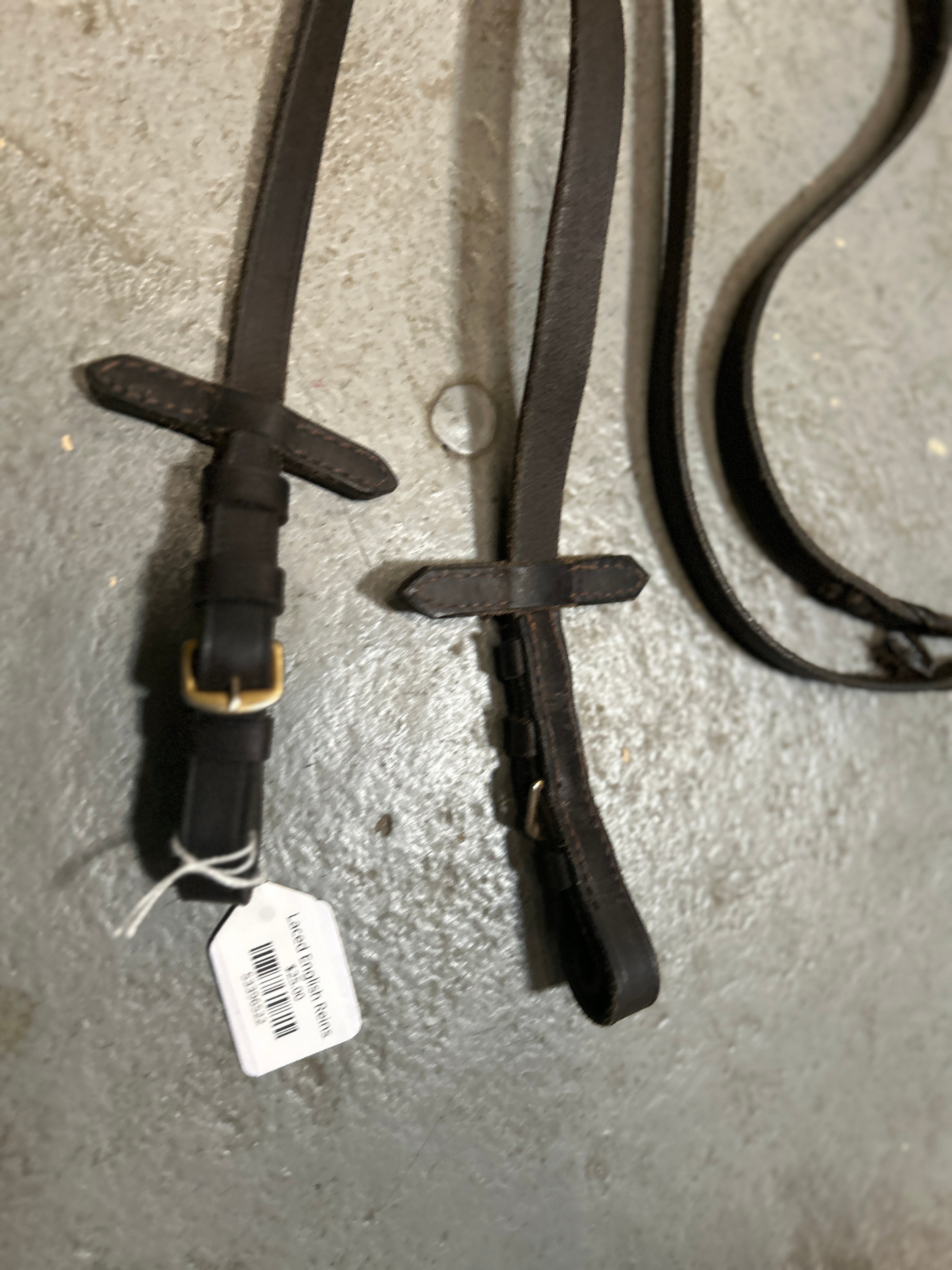 Laced English Reins