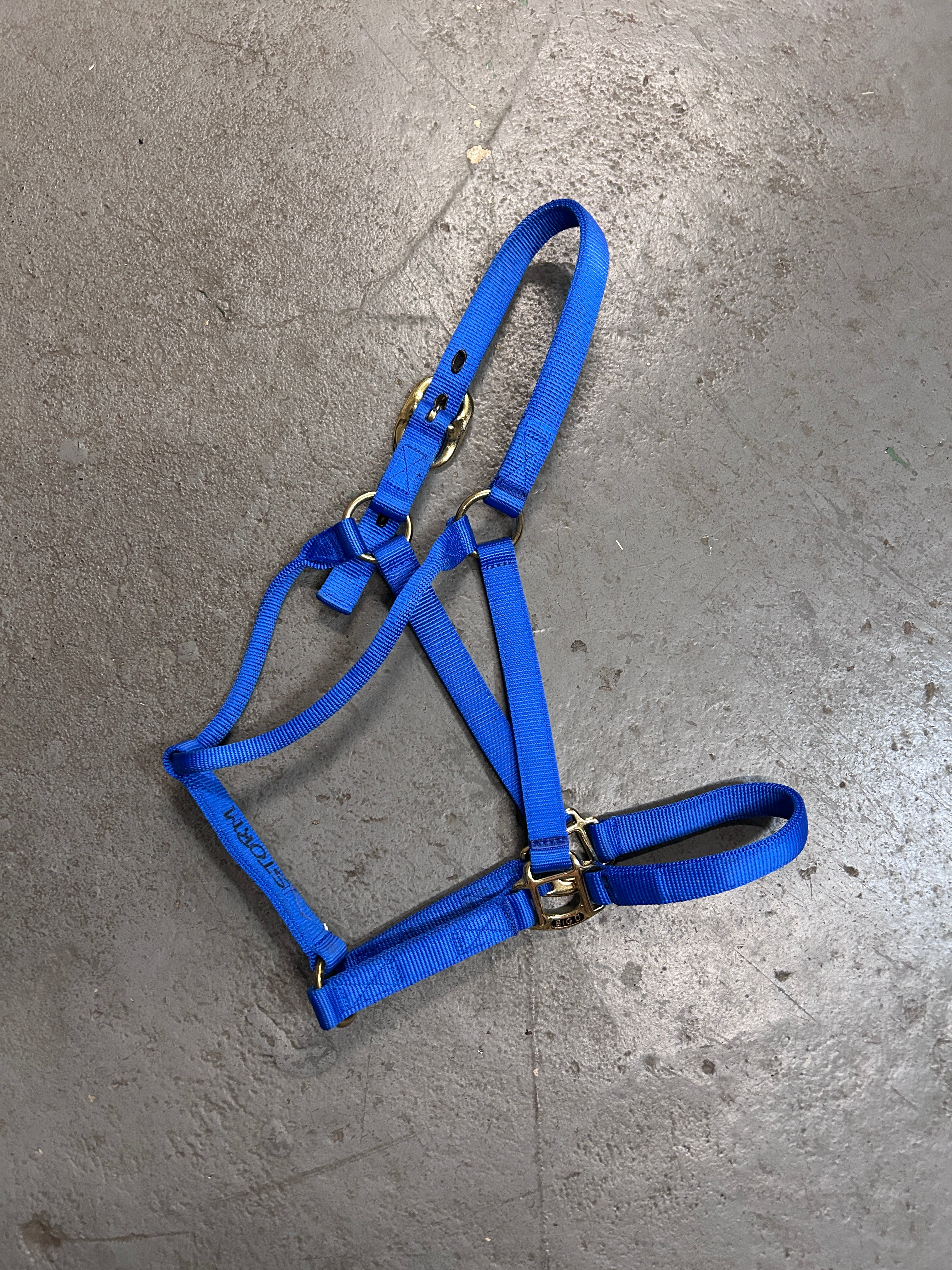 Big D Nylon Blue Halter