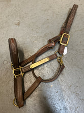 Load image into Gallery viewer, Walsh Leather Halter Warmblood
