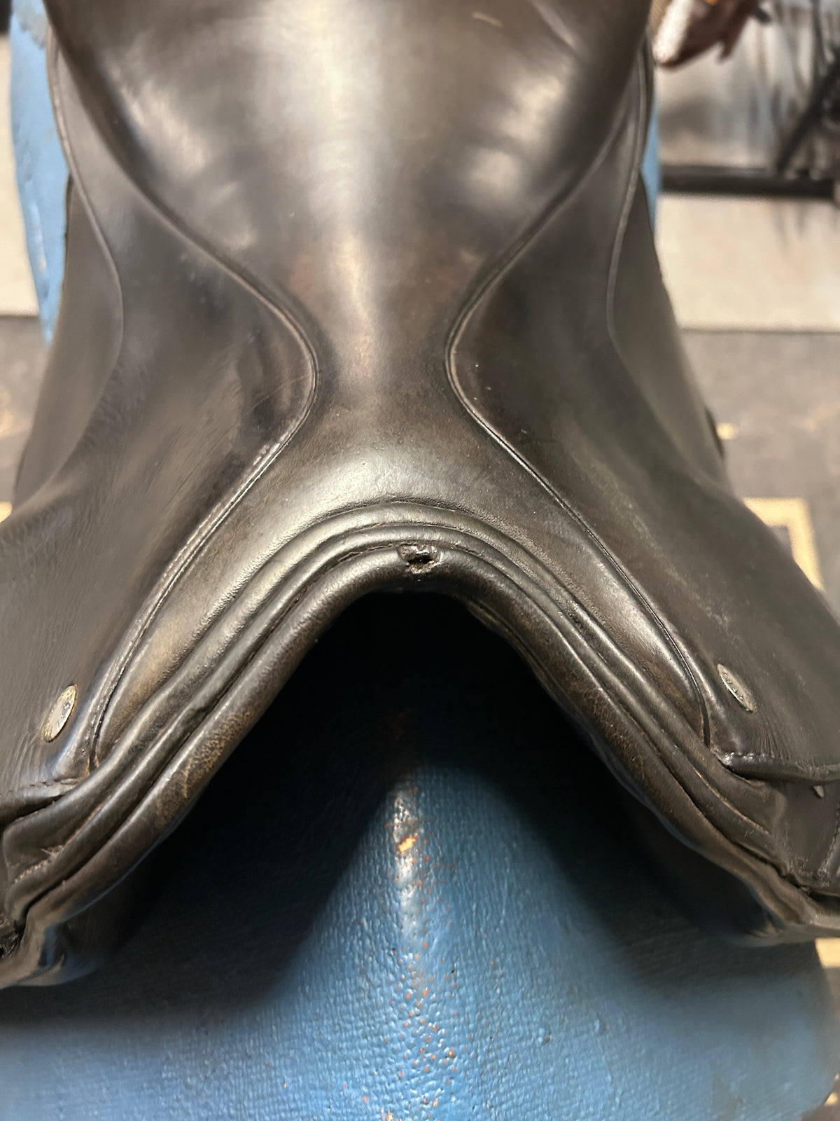 16.5" Regal Dressage Saddle