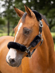 LeMieux Simuwool Halter Covers