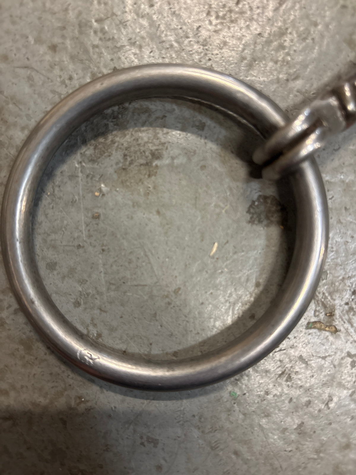 Reinsman Loose Ring Snaffle with Ridges 5"