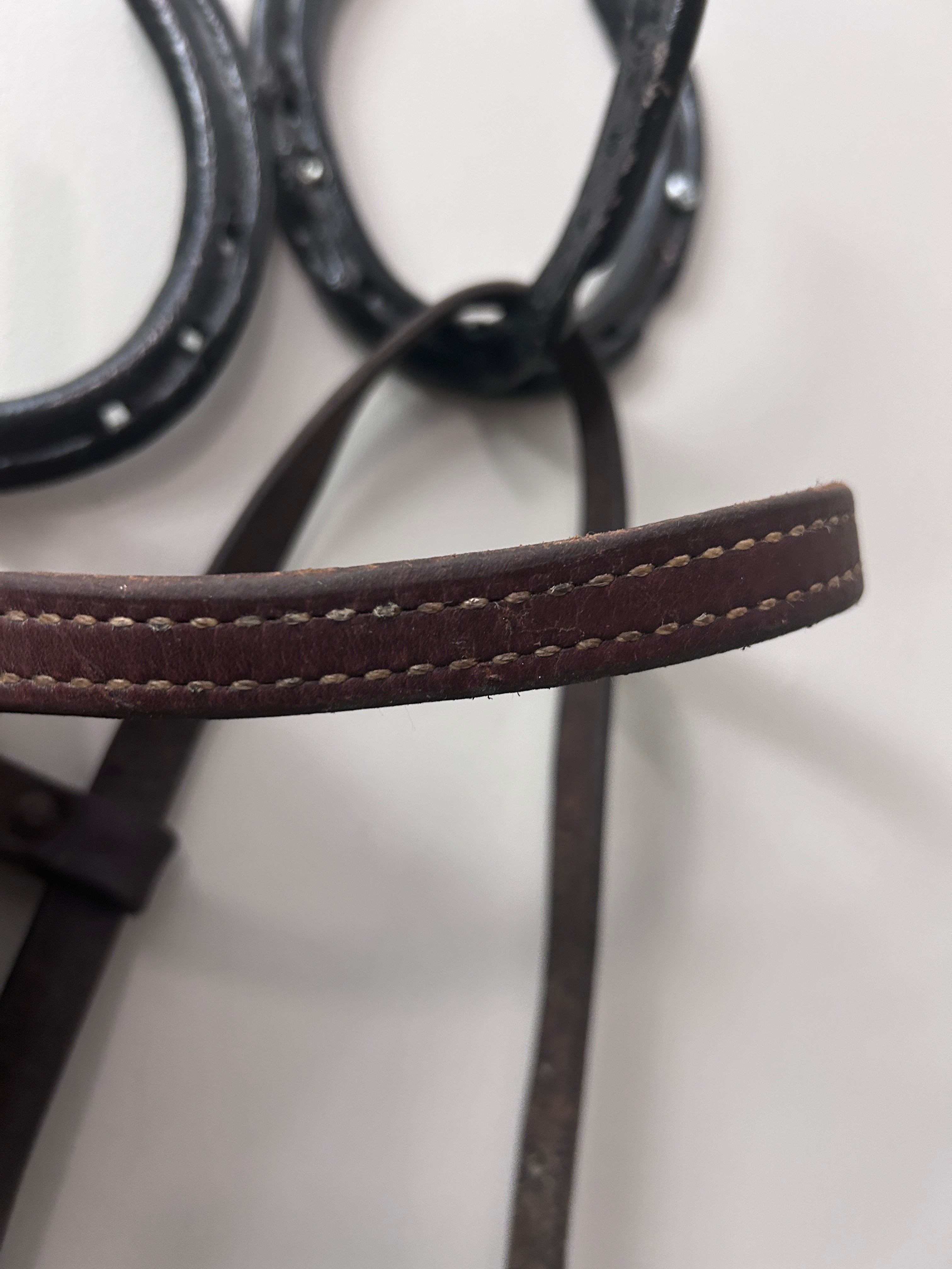 Training Quick-Change Headstall