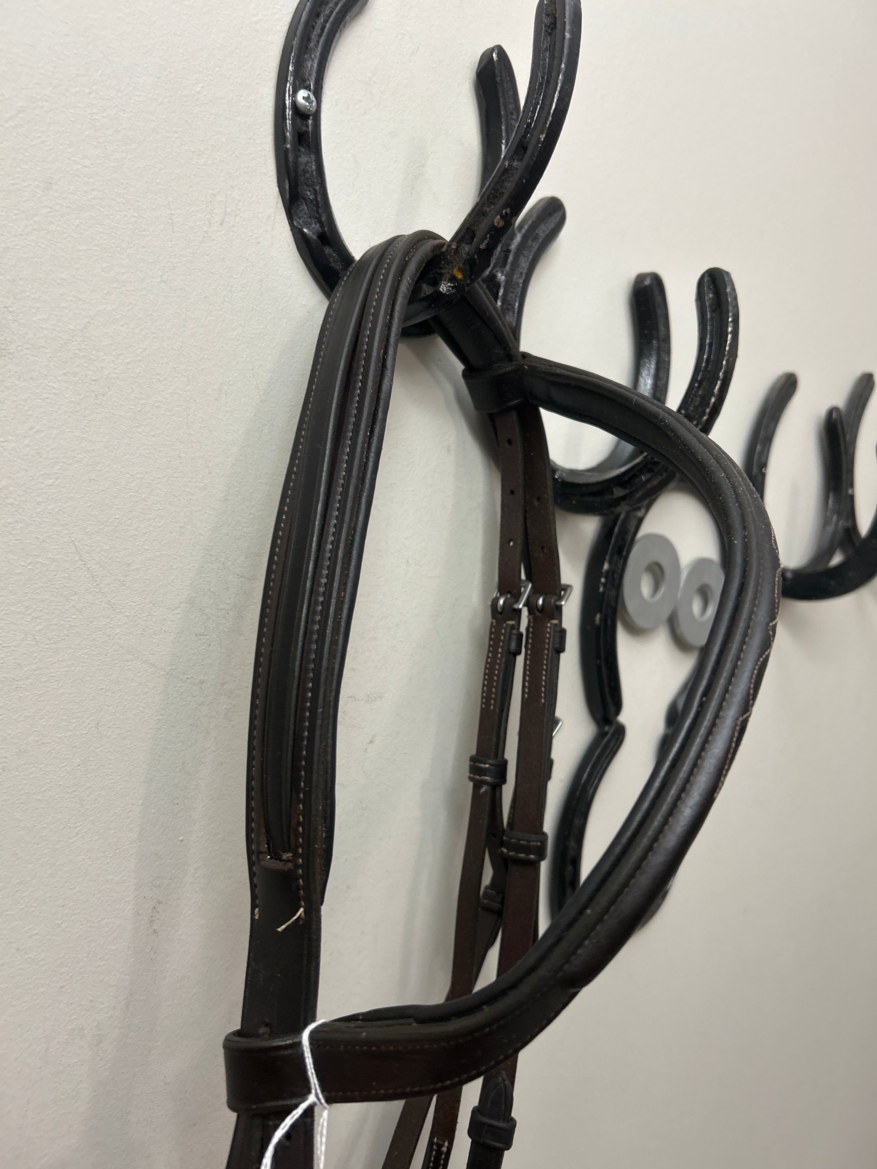 Warmblood Hunter English Bridle
