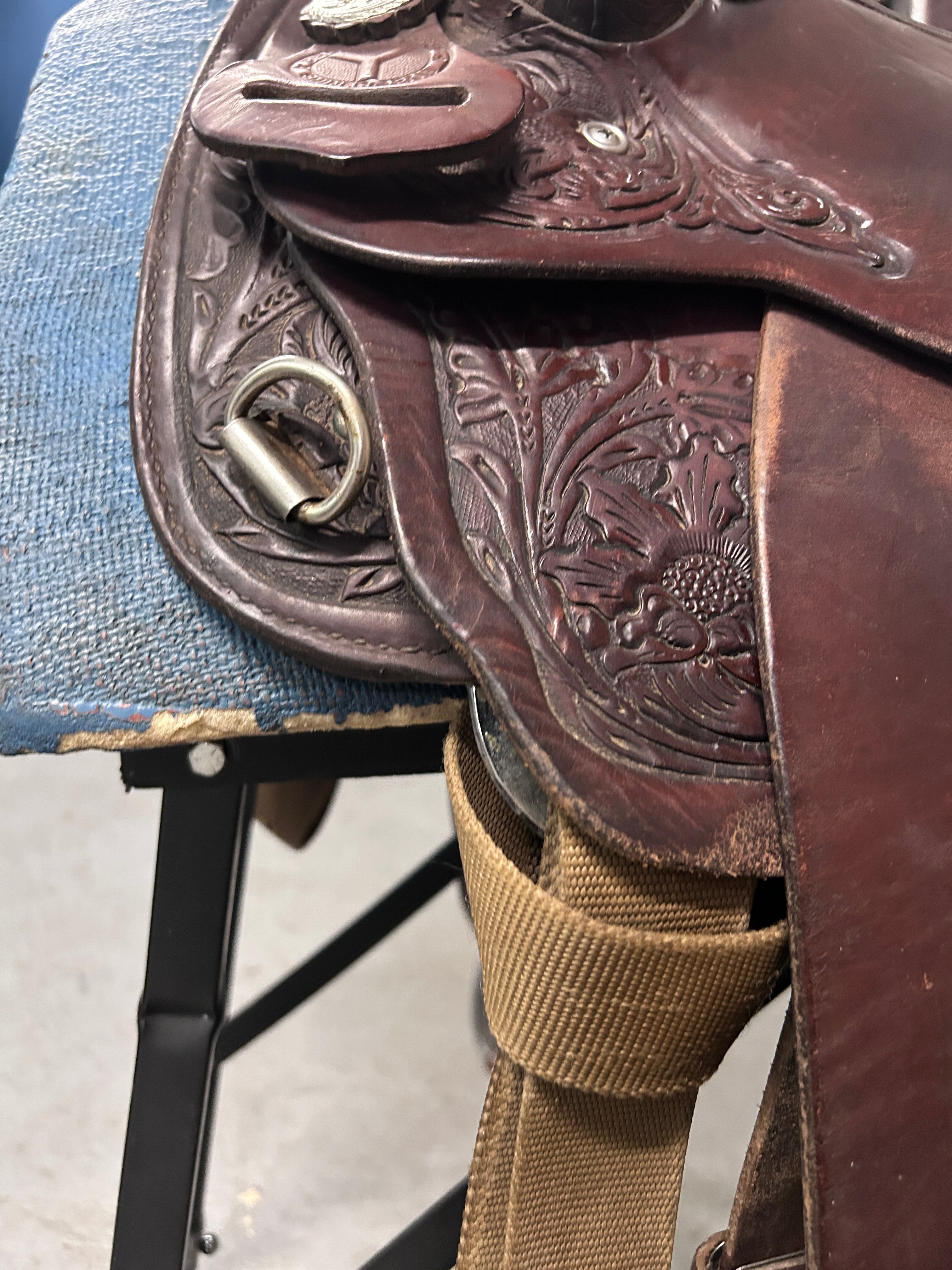 15" Circle Y Equitation Western Saddle-Saddle-Consignment-Evolution Equestrian Co.