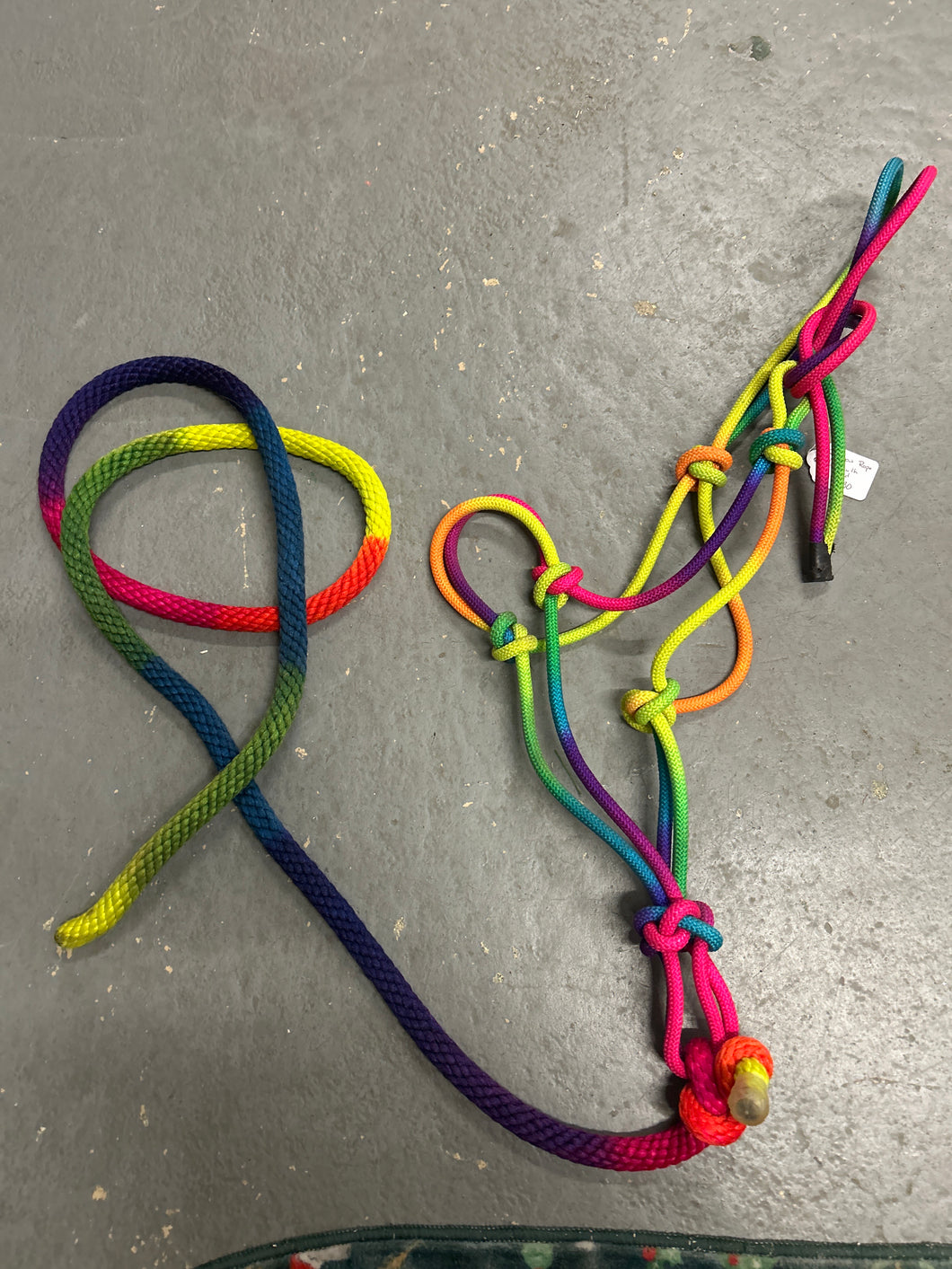 Rainbow Rope Halter with Lead