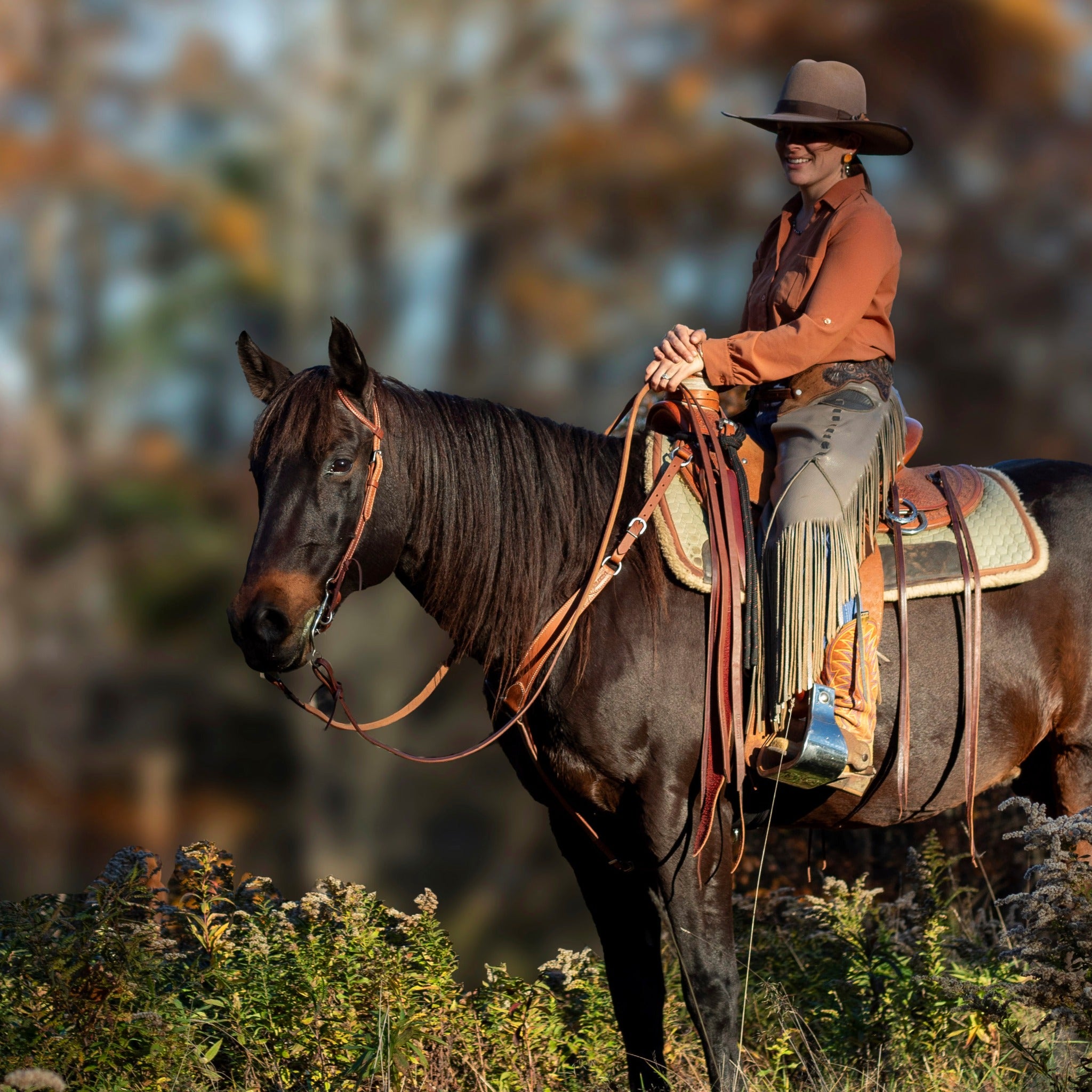 Evolution Equestrian Co.