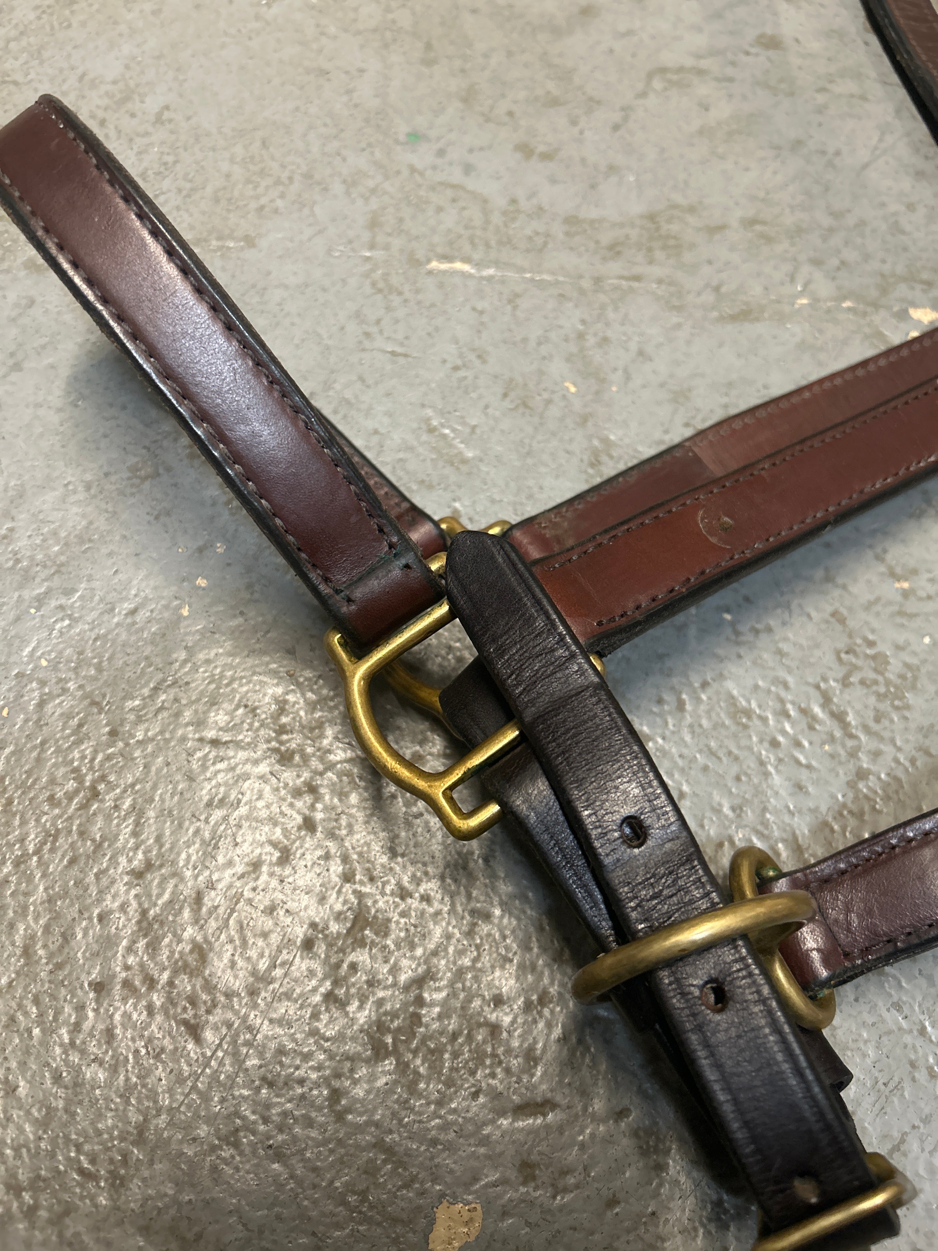 Tory Leather Halter