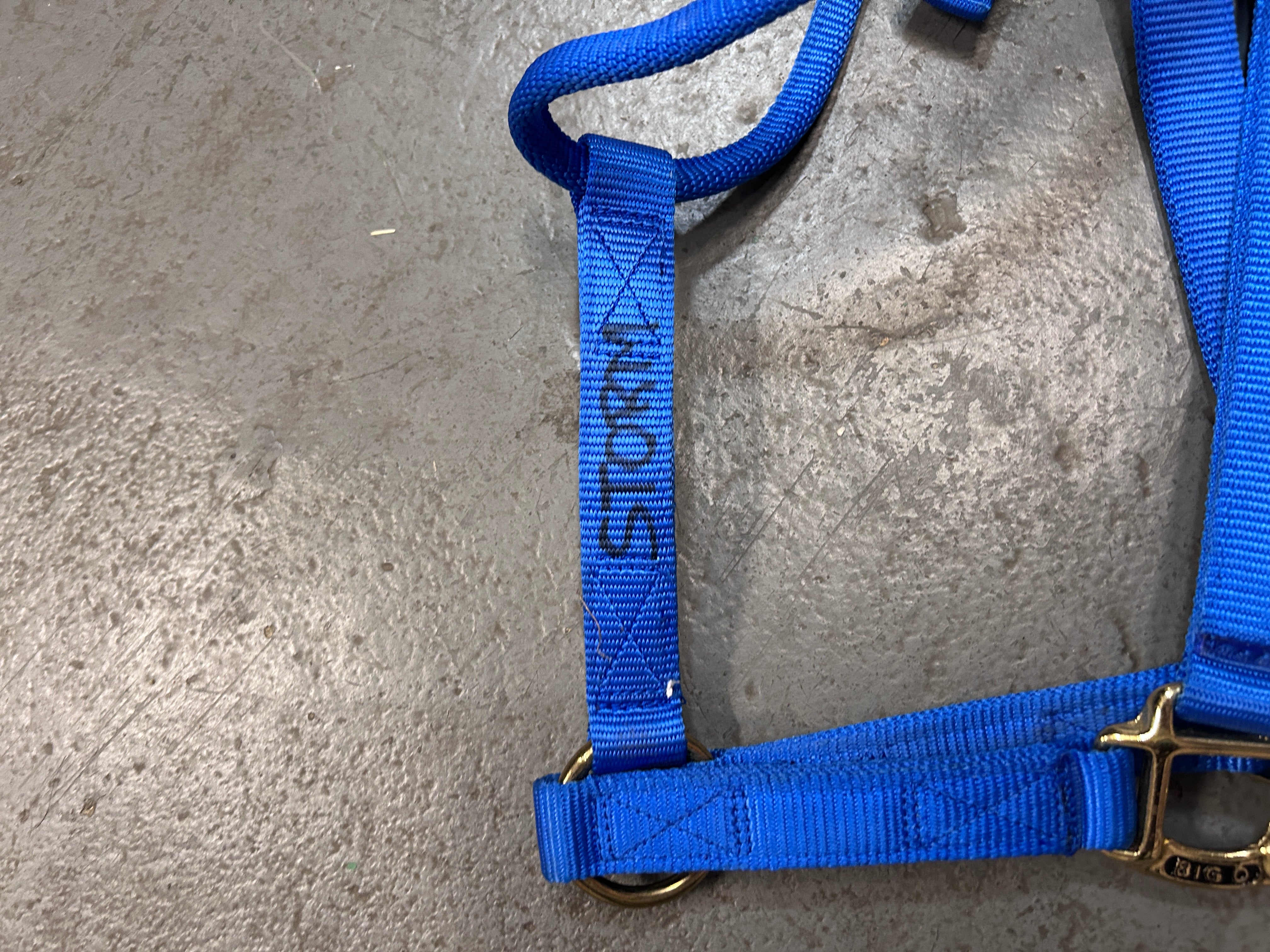 Big D Nylon Blue Halter