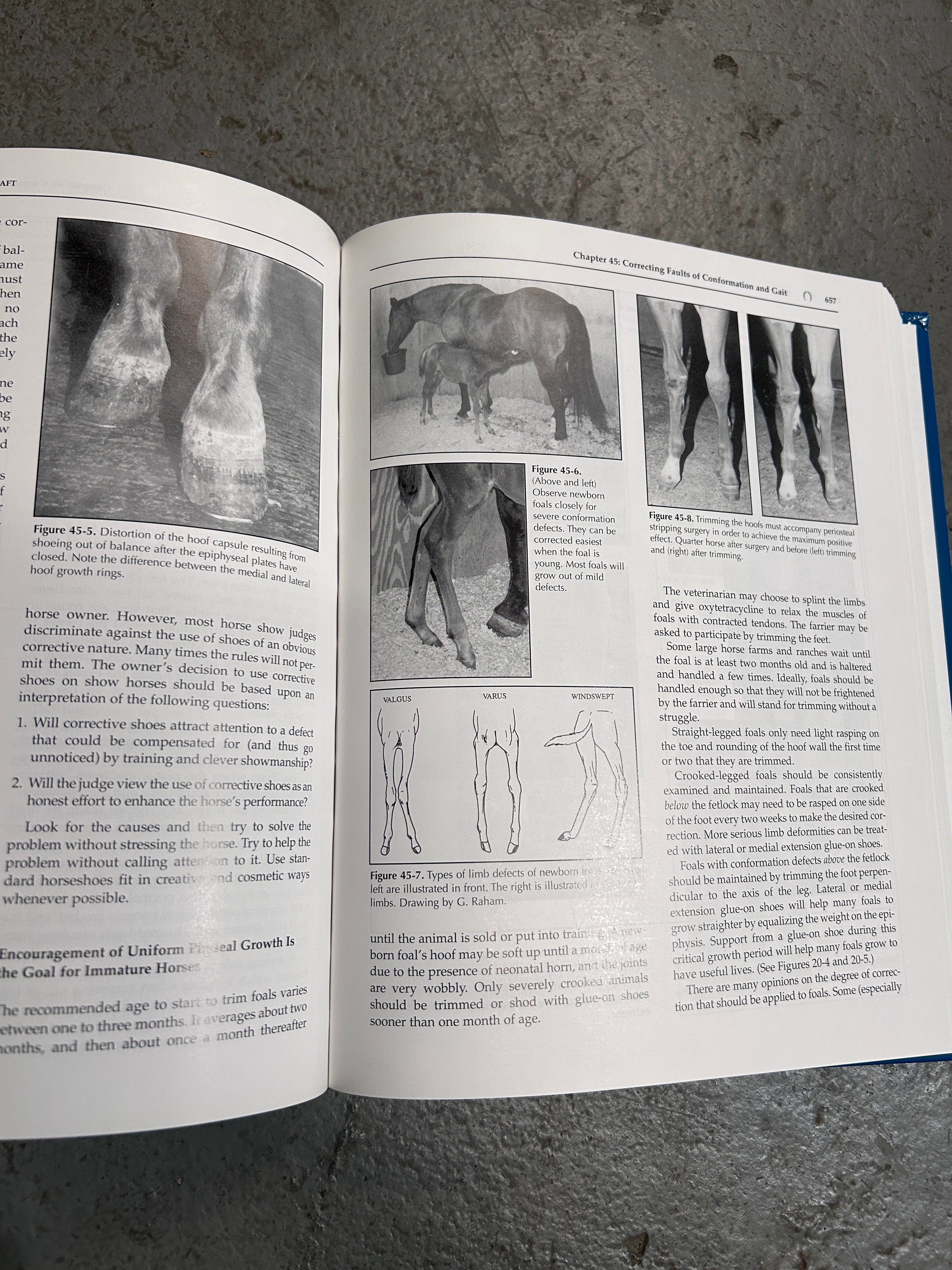 The Principles of Horseshoeing P3 by Dr. Dough Butler and Jacob Butler