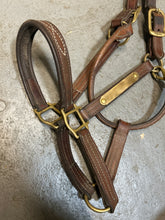 Load image into Gallery viewer, Walsh Leather Halter Warmblood
