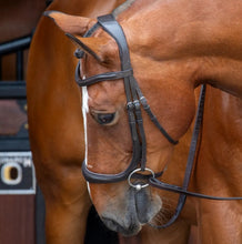 Load image into Gallery viewer, Shires Velociti RAPIDA Ergonomic Curved Cavesson Bridle
