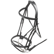 Padded Raised Flash Bridle-Flash Bridle-Pegasus-Evolution Equestrian Co.