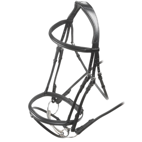 Padded Raised Flash Bridle-Flash Bridle-Pegasus-Evolution Equestrian Co.