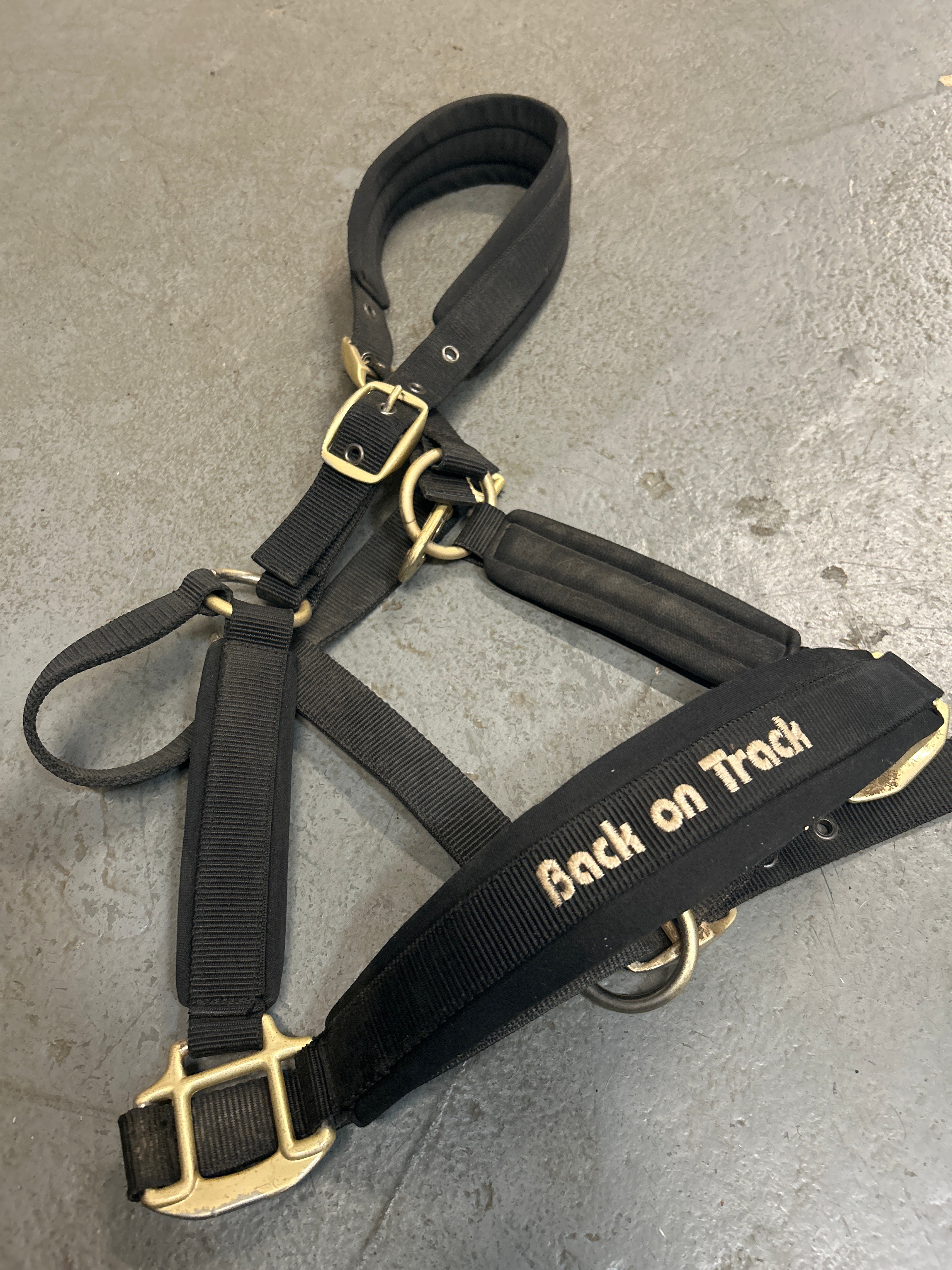 Back on Track Halter Full