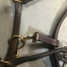 Load image into Gallery viewer, Grooming Leather Halter
