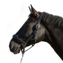 Load image into Gallery viewer, Keiffer Ultrasoft Deluxe Leather Halter
