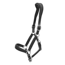 Load image into Gallery viewer, Keiffer Ultrasoft Deluxe Leather Halter
