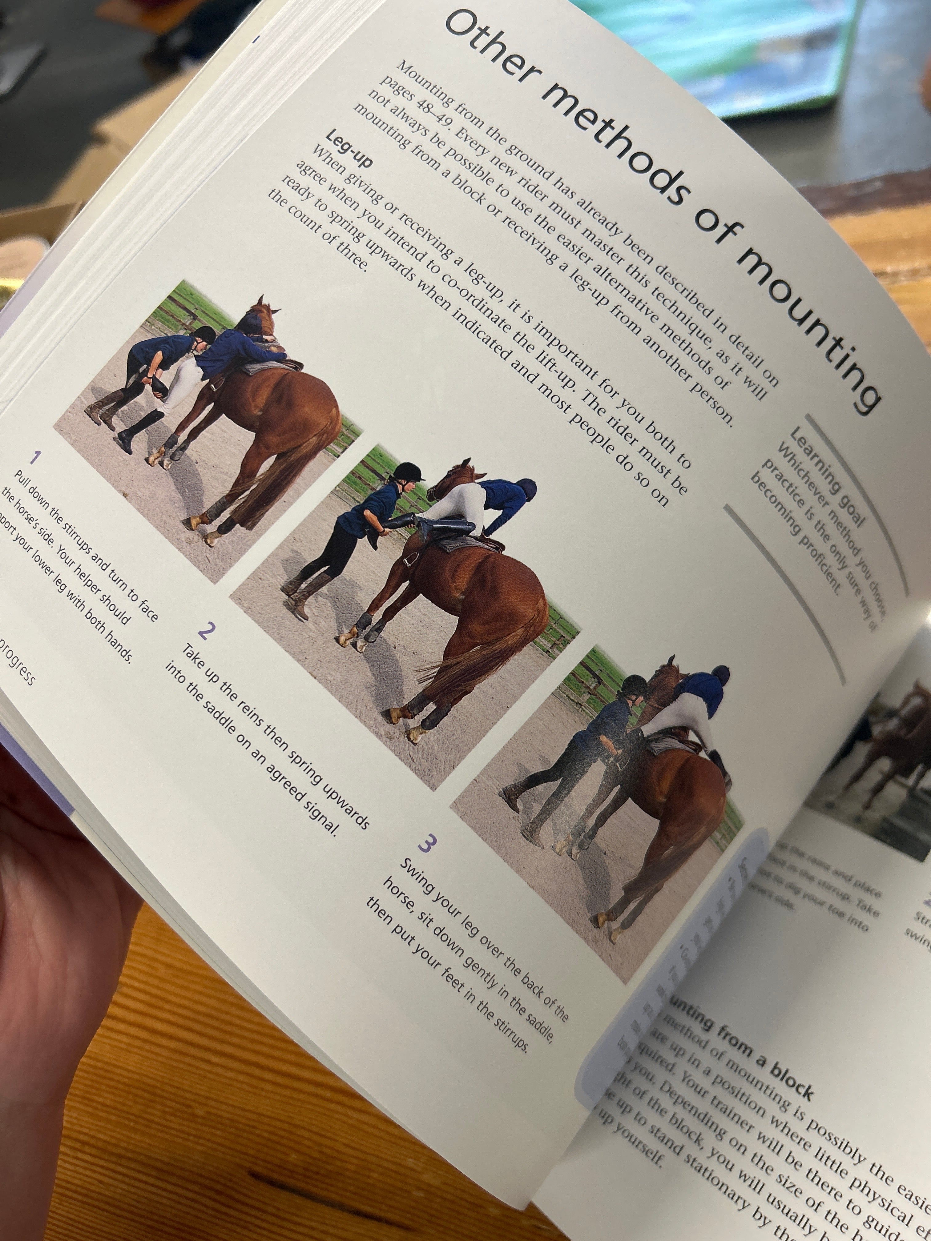 Horseback Riding in a Weekend by Jane Holderness-Roddam