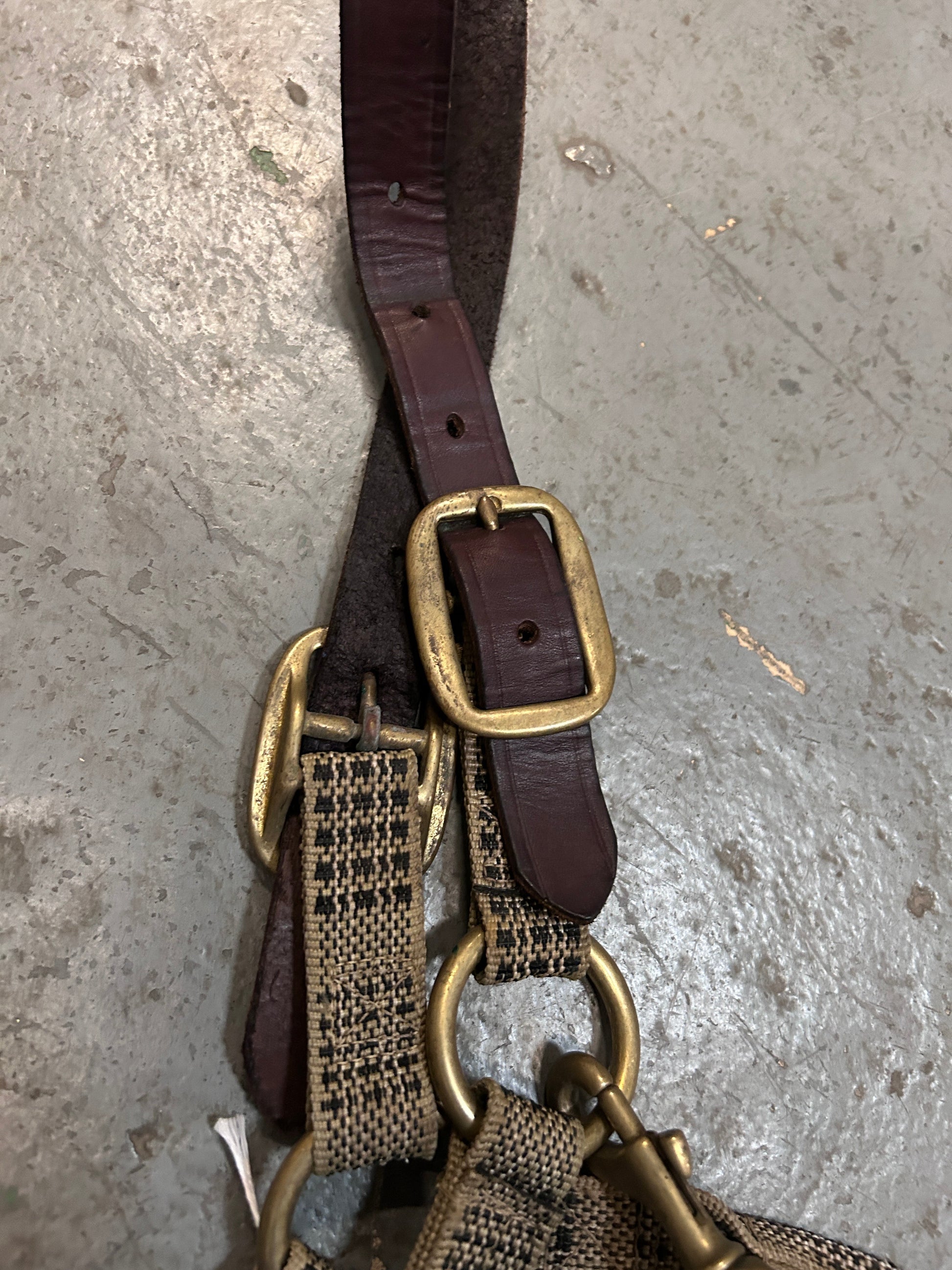 5A Baker Breakaway Halter-Halter-Consignment-Evolution Equestrian Co.